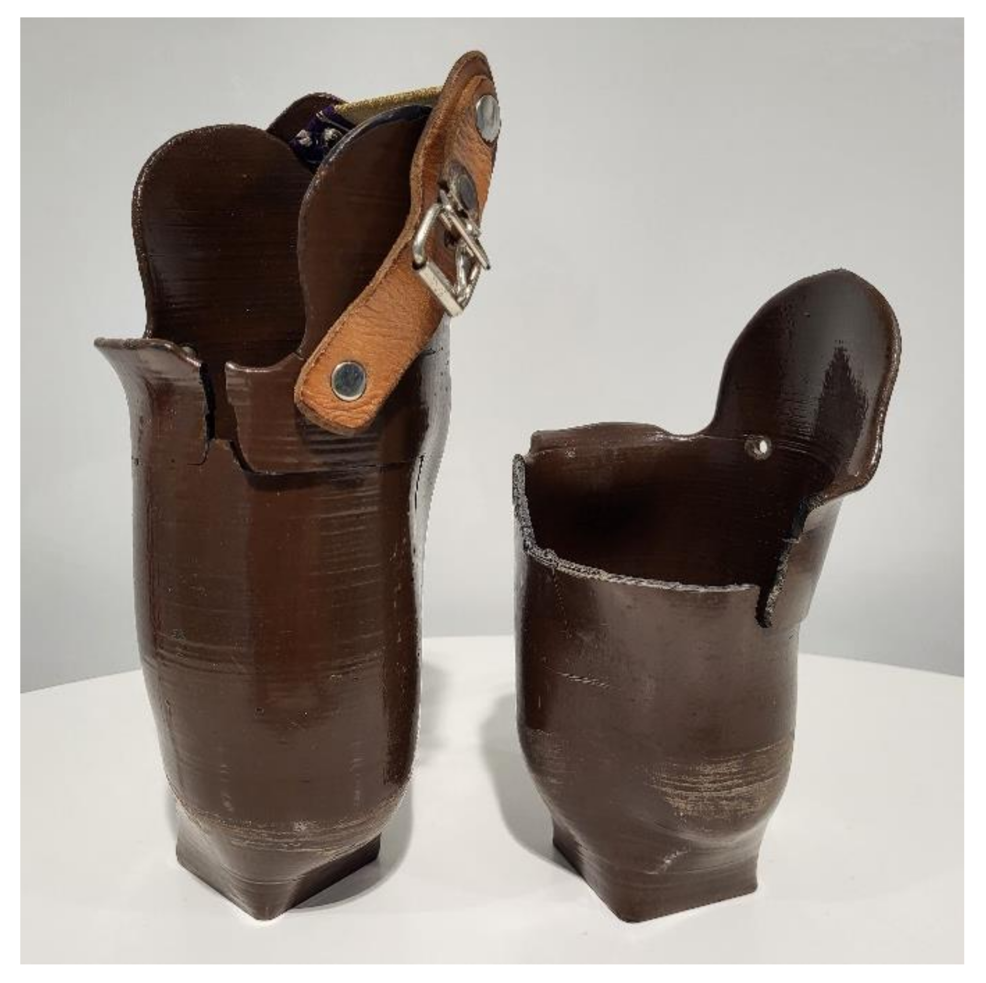 Prosthesis 04 00048 g002