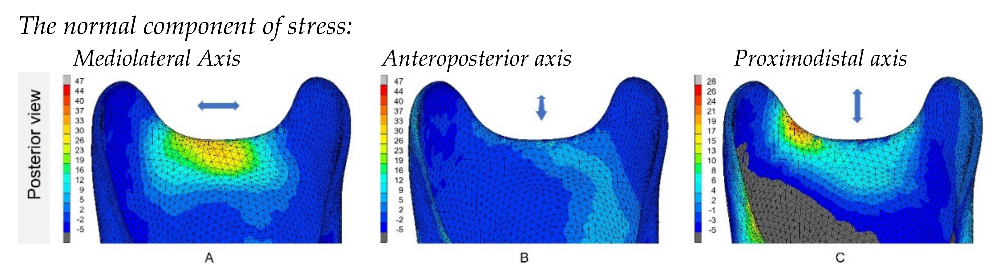 Prosthesis 04 00048 g004