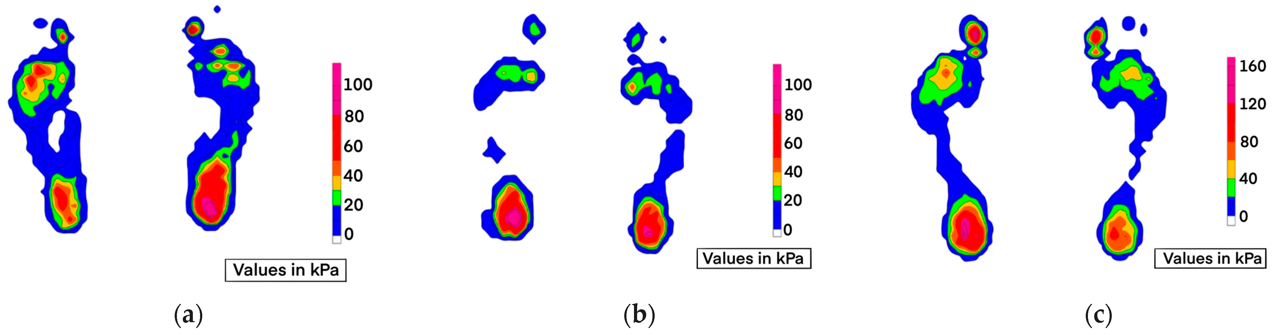 Prosthesis 05 00038 g003