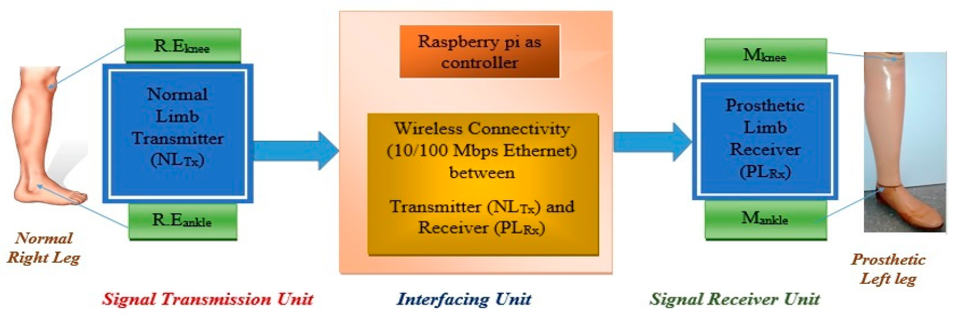 Prosthesis 05 00040 g001 Prosthesis 05 00040 g001