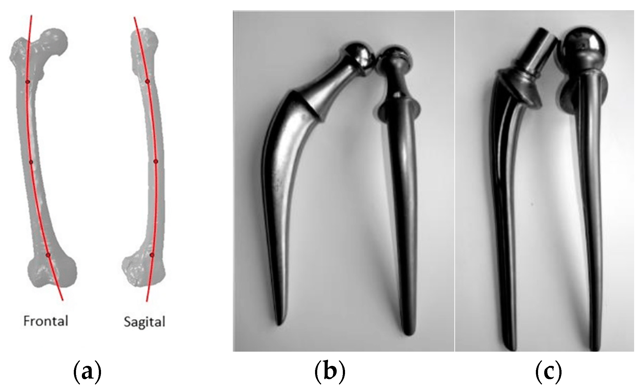 A) Solid hip stem design and dimensions. (B) 3D printed porous hip