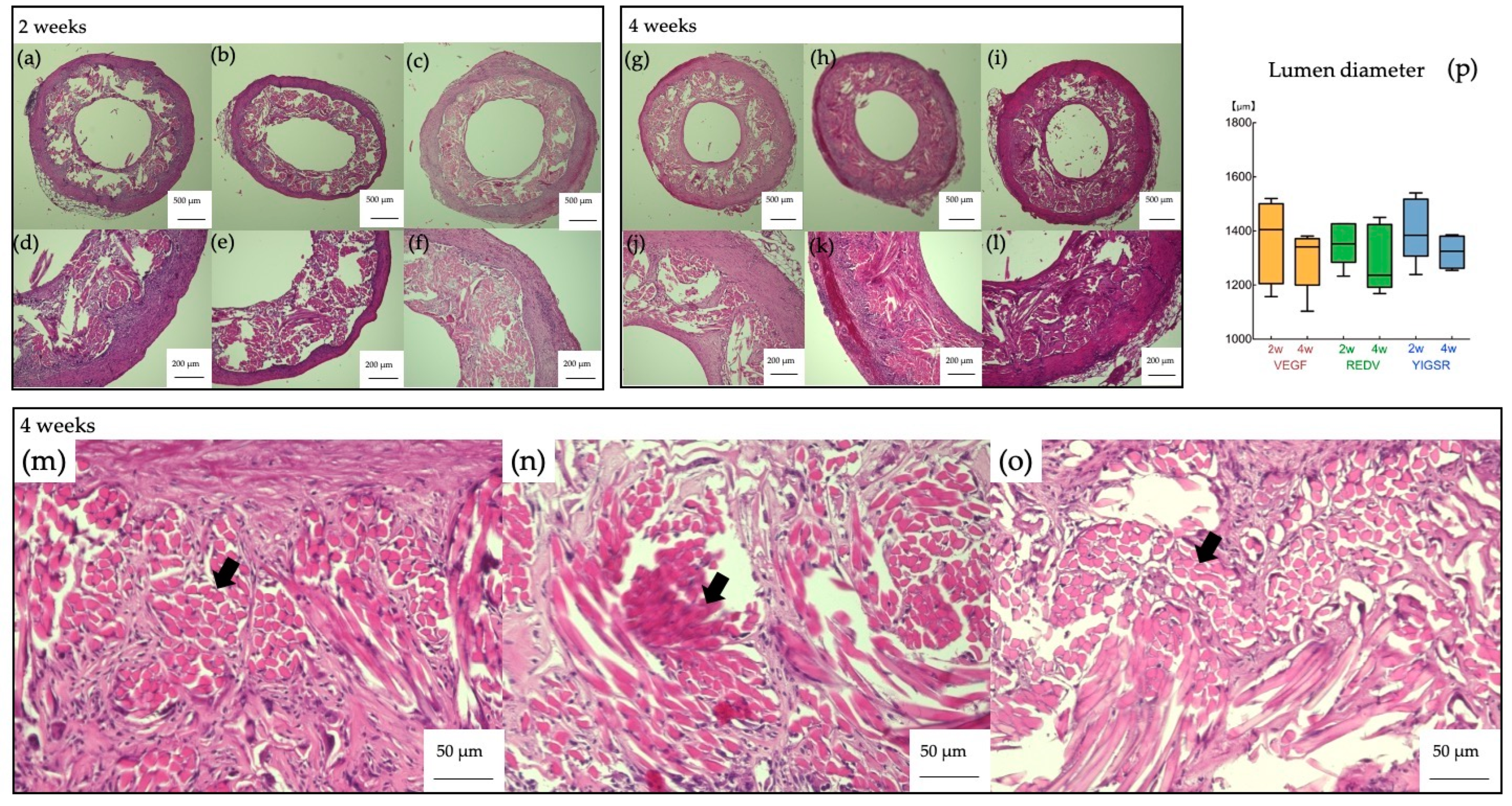 Prosthesis 05 00054 g002 Prosthesis 05 00054 g002