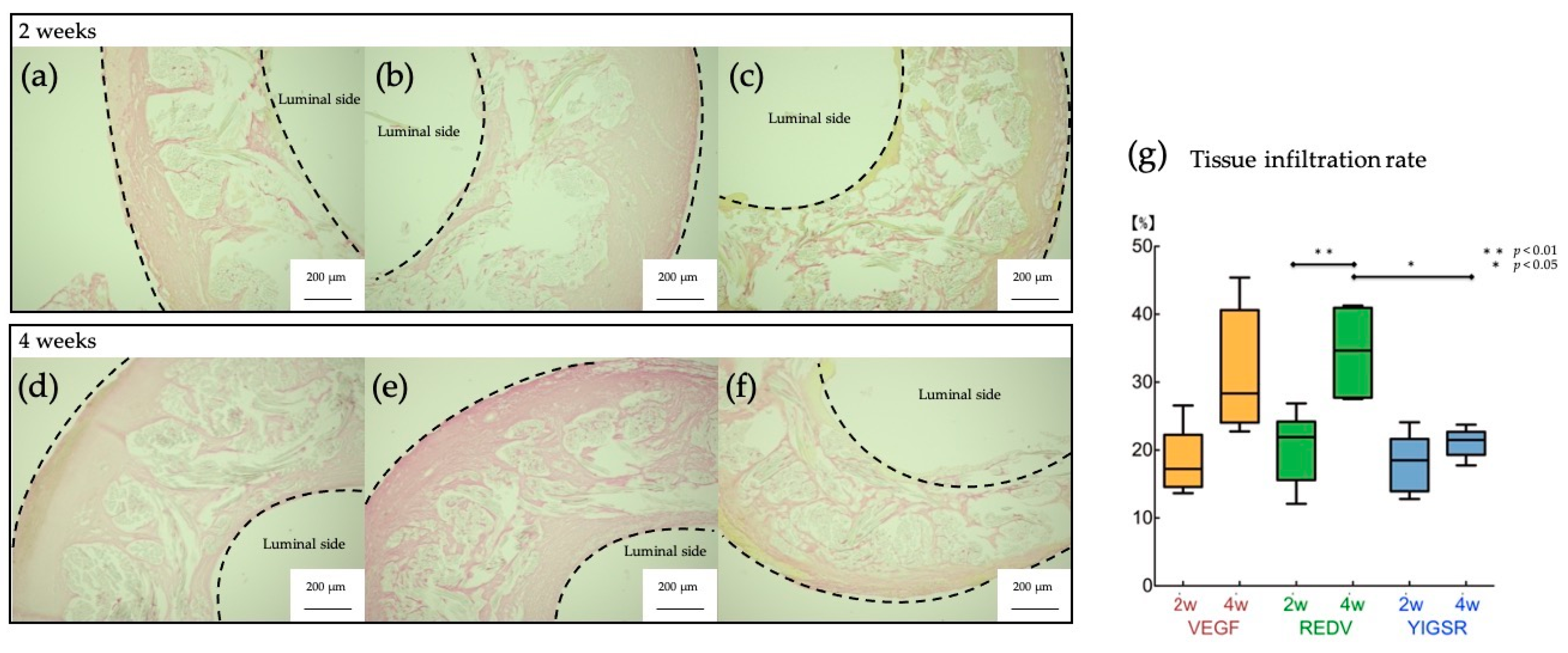 Prosthesis 05 00054 g003 Prosthesis 05 00054 g003