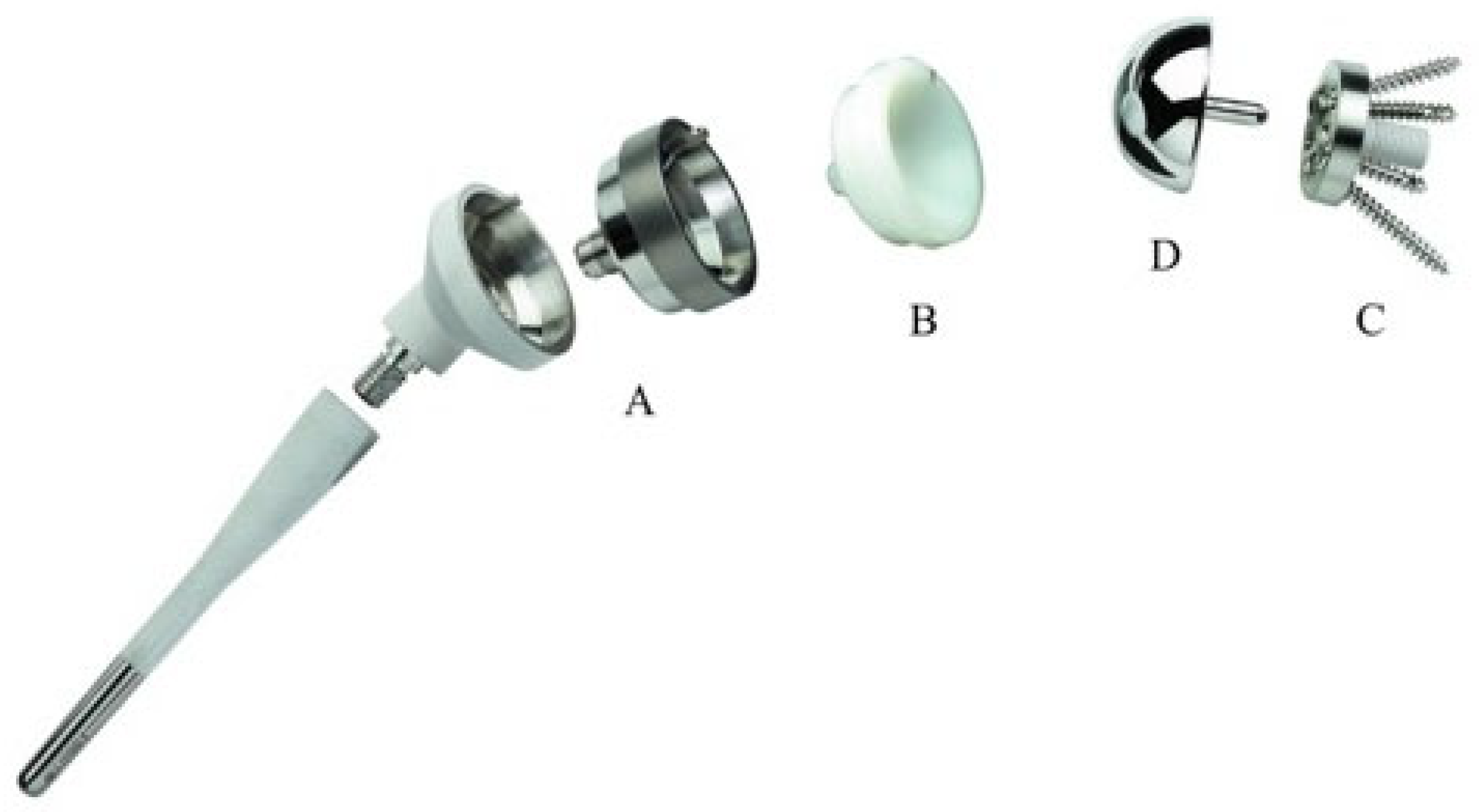 Prosthesis 05 00075 g004