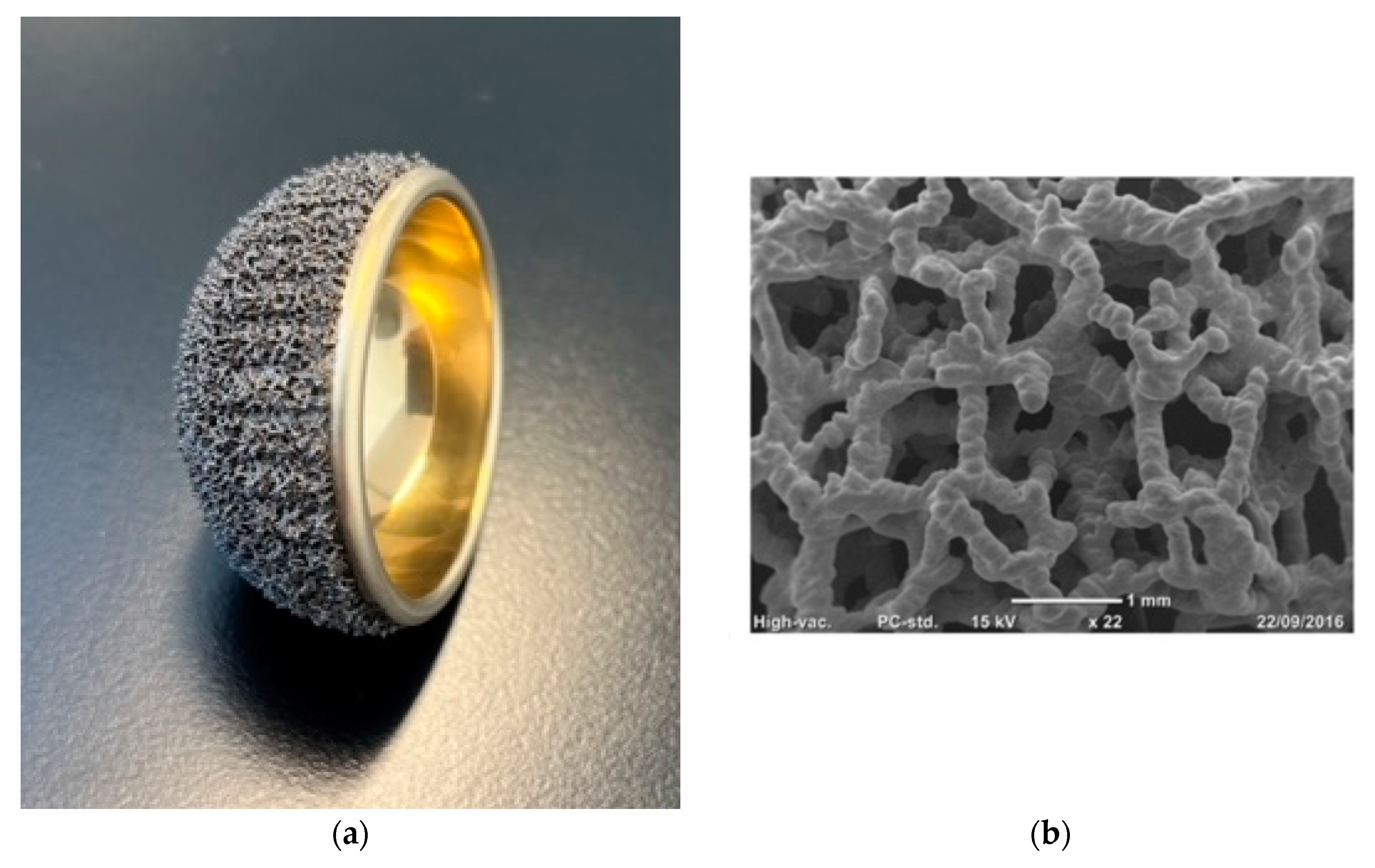 Prosthesis 06 00029 g002