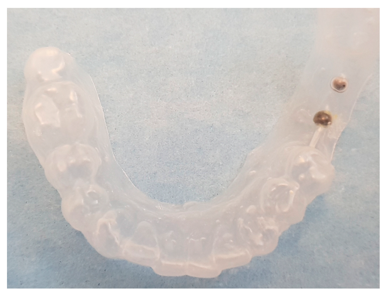 Prosthesis 06 00039 g002