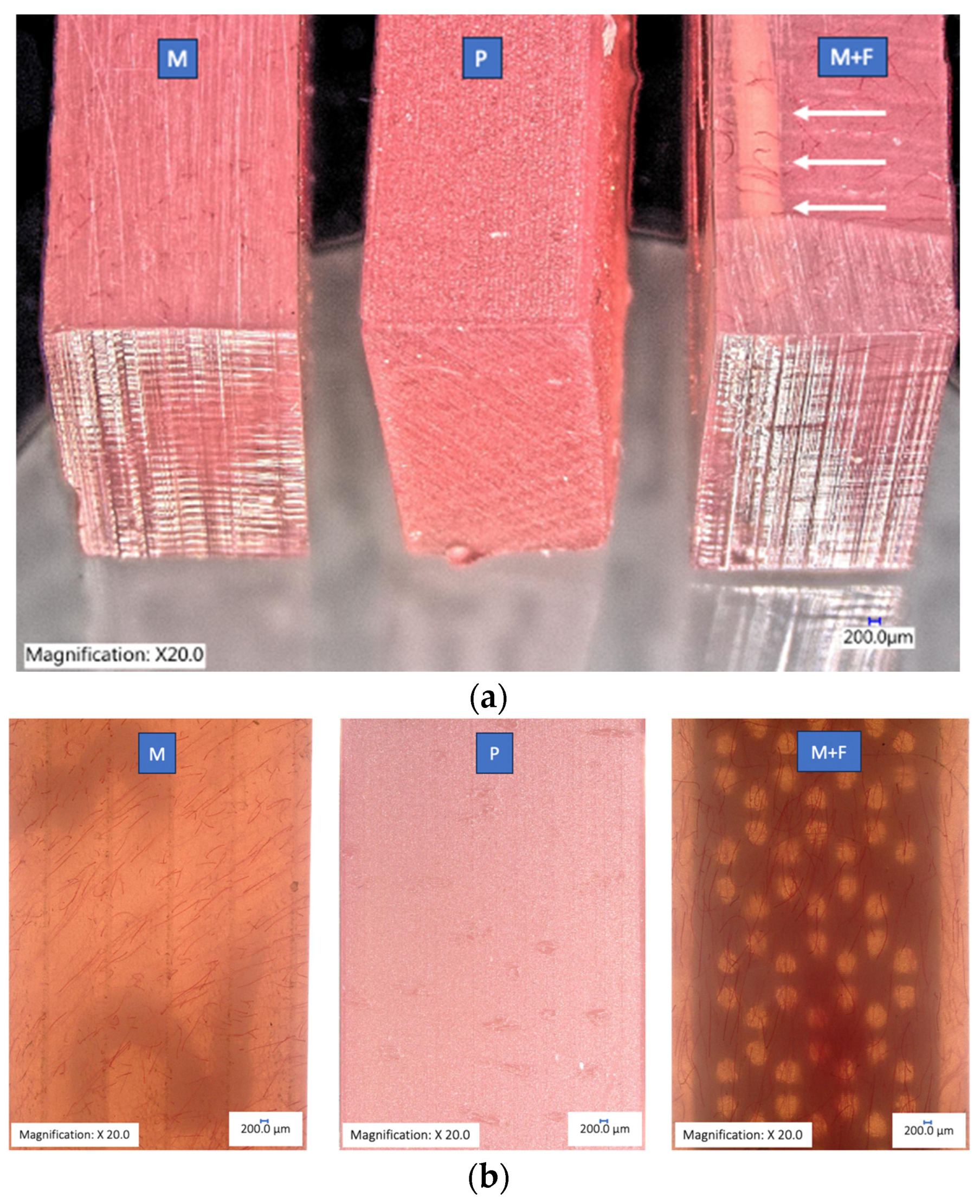 Prosthesis 06 00053 g002 Prosthesis 06 00053 g002