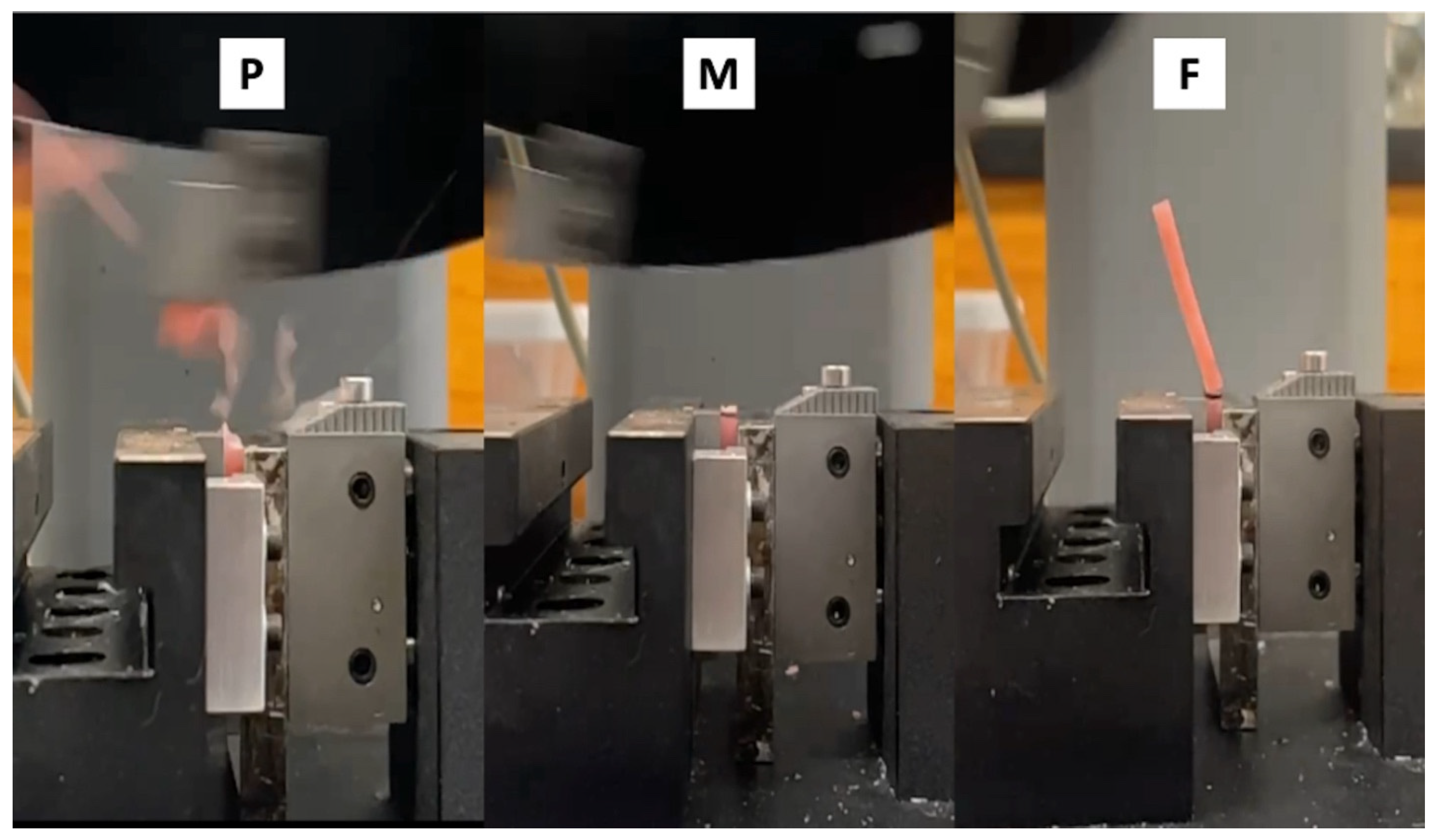 Prosthesis 06 00053 g005 Prosthesis 06 00053 g005