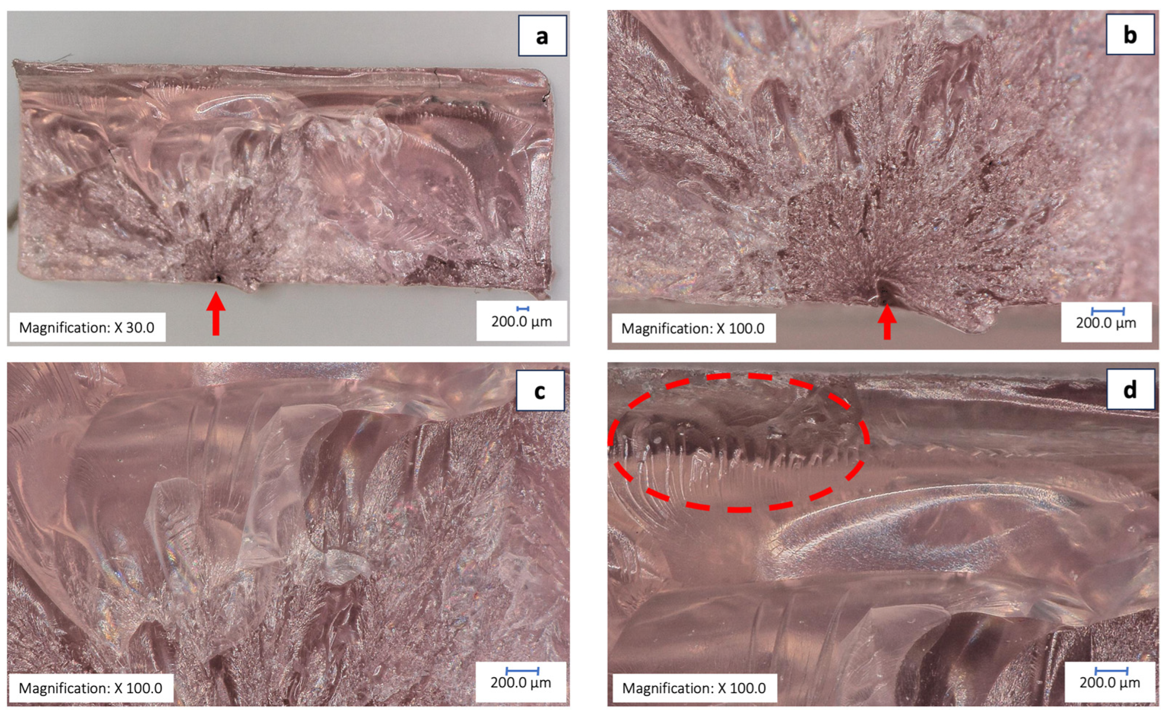 Prosthesis 06 00053 g006 Prosthesis 06 00053 g006