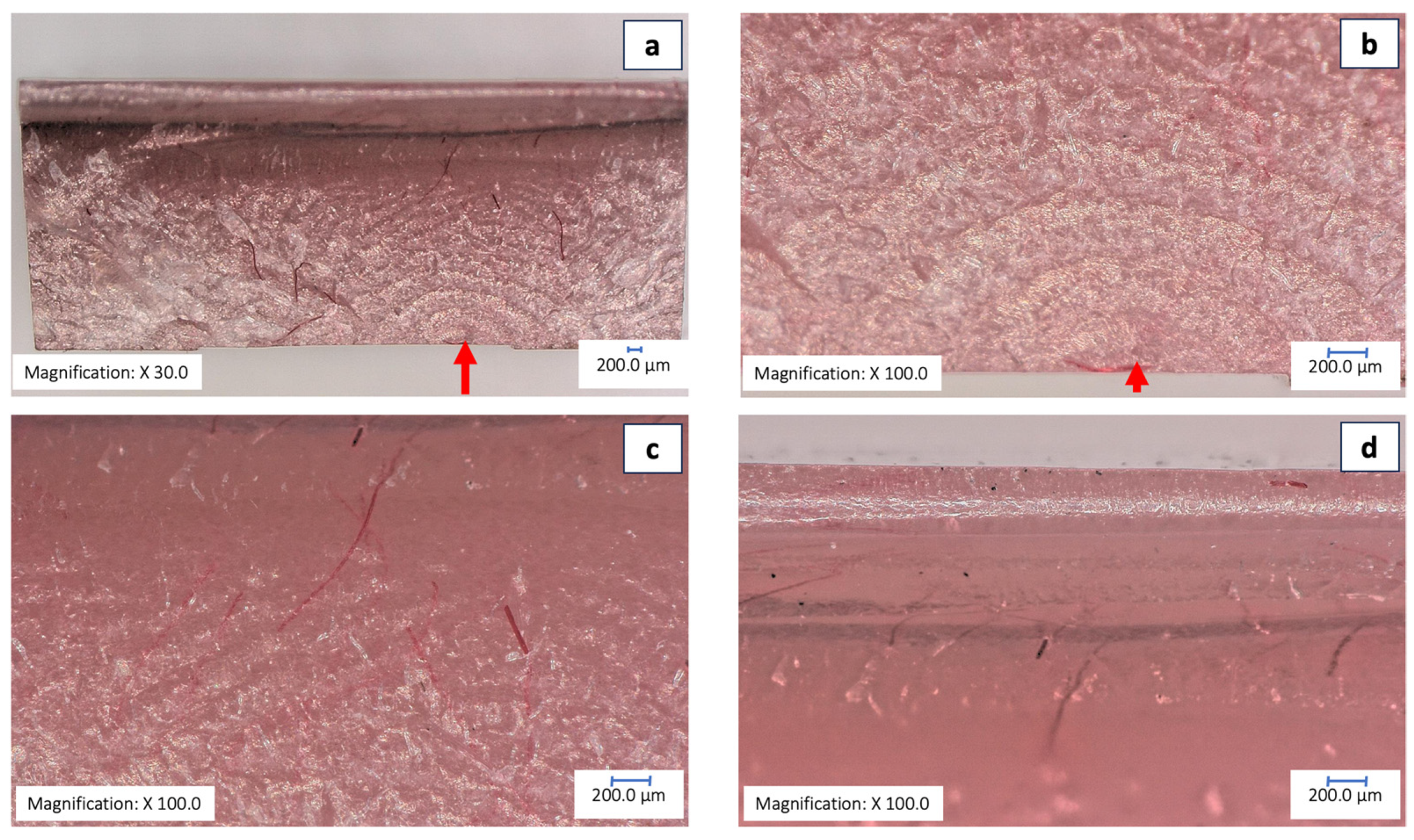 Prosthesis 06 00053 g007 Prosthesis 06 00053 g007