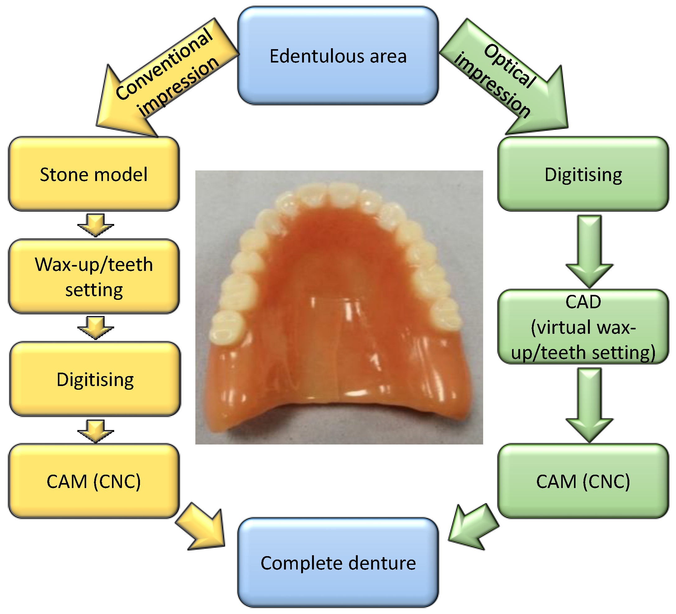Prosthesis 06 00055 g002