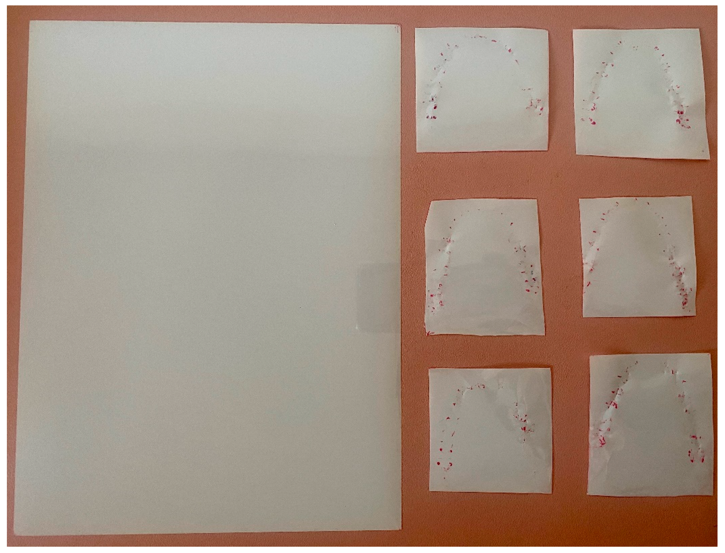 Prosthesis 06 00065 g009