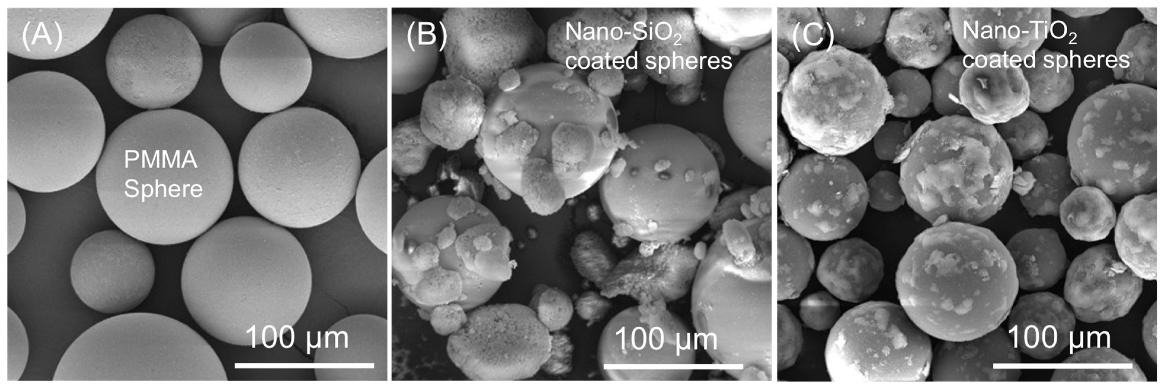 Prosthesis 06 00069 g002