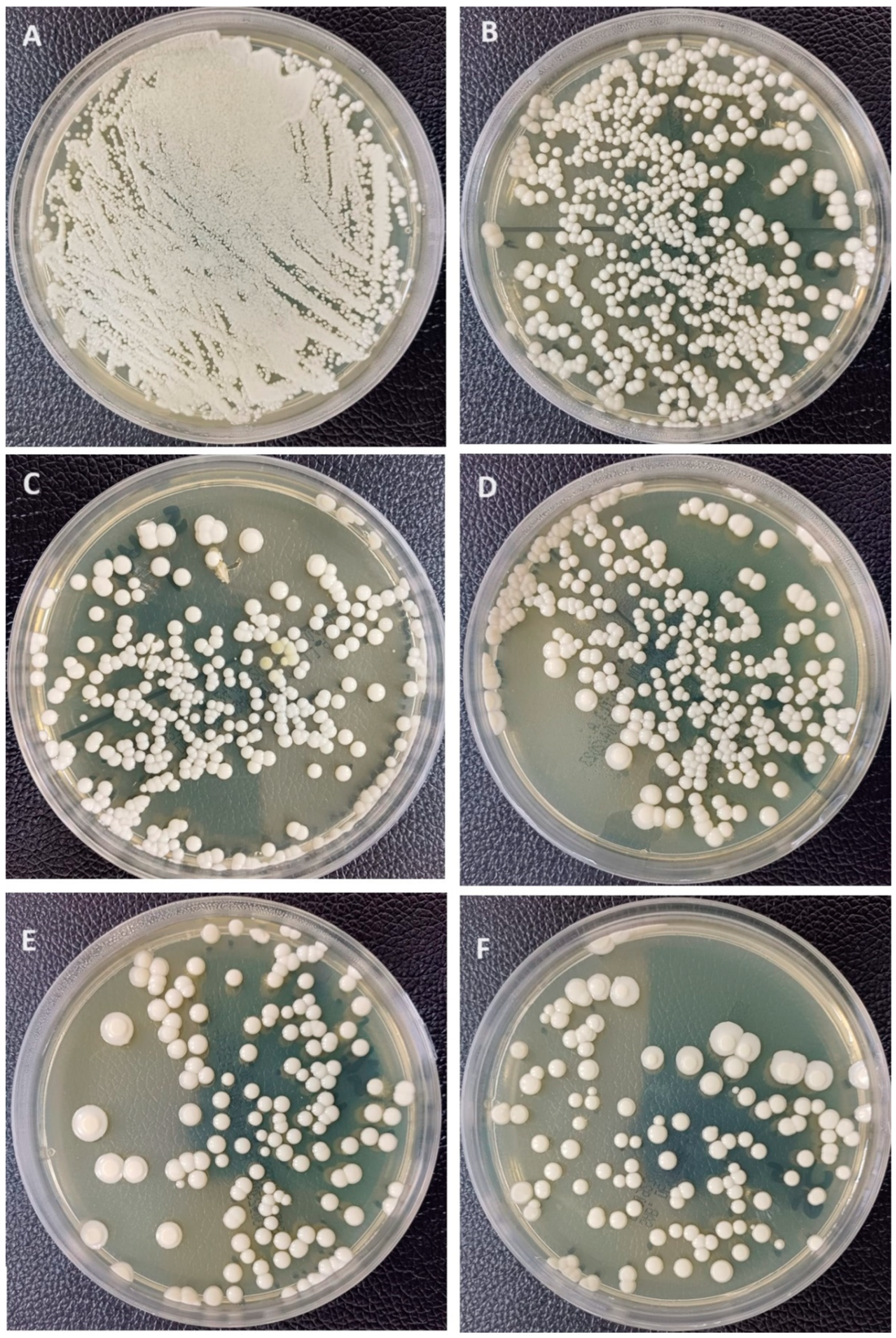 Prosthesis 06 00069 g005