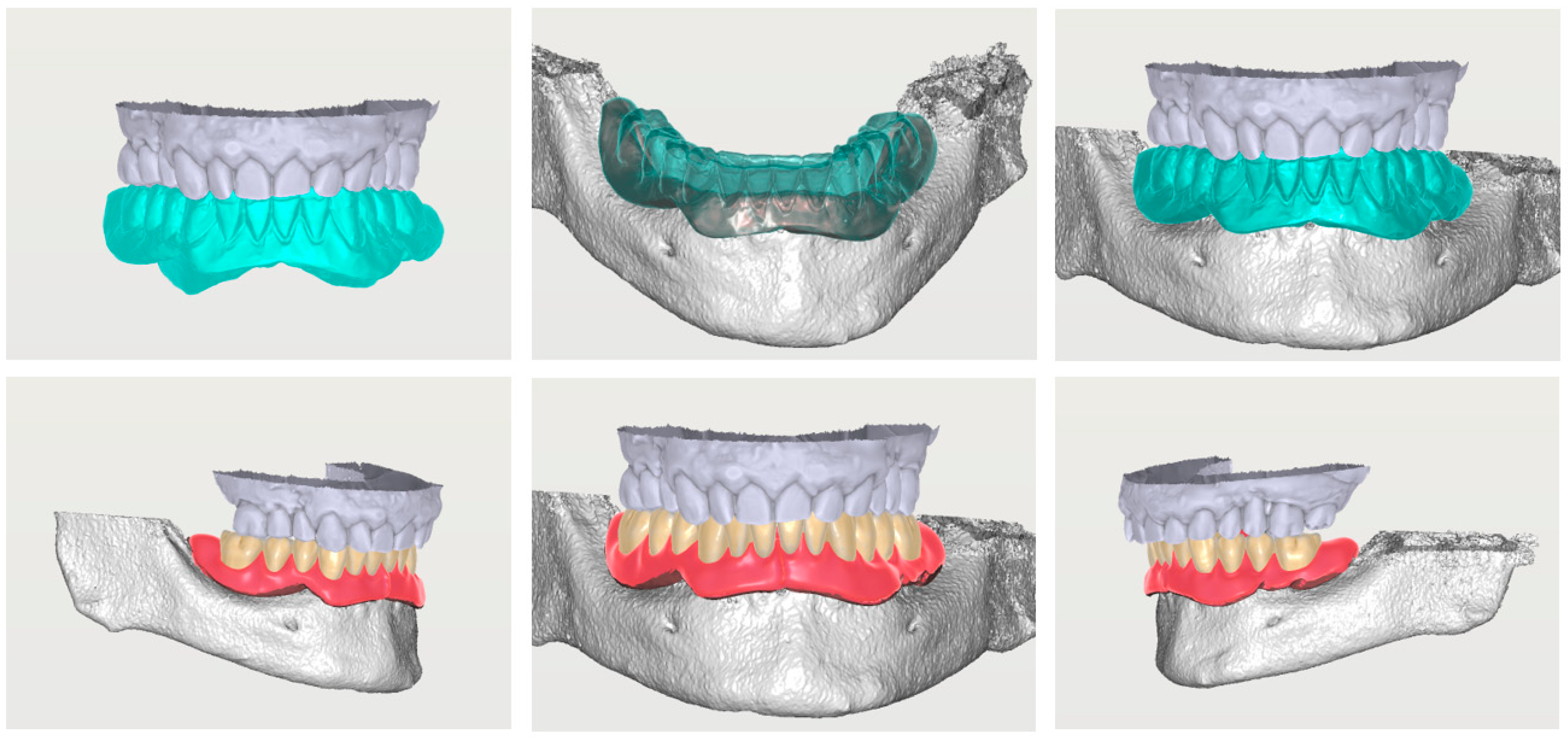 Prosthesis 06 00107 g001