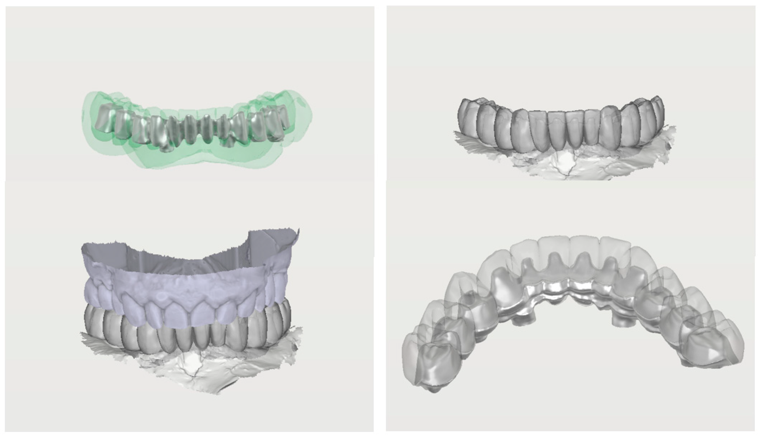 Prosthesis 06 00107 g010