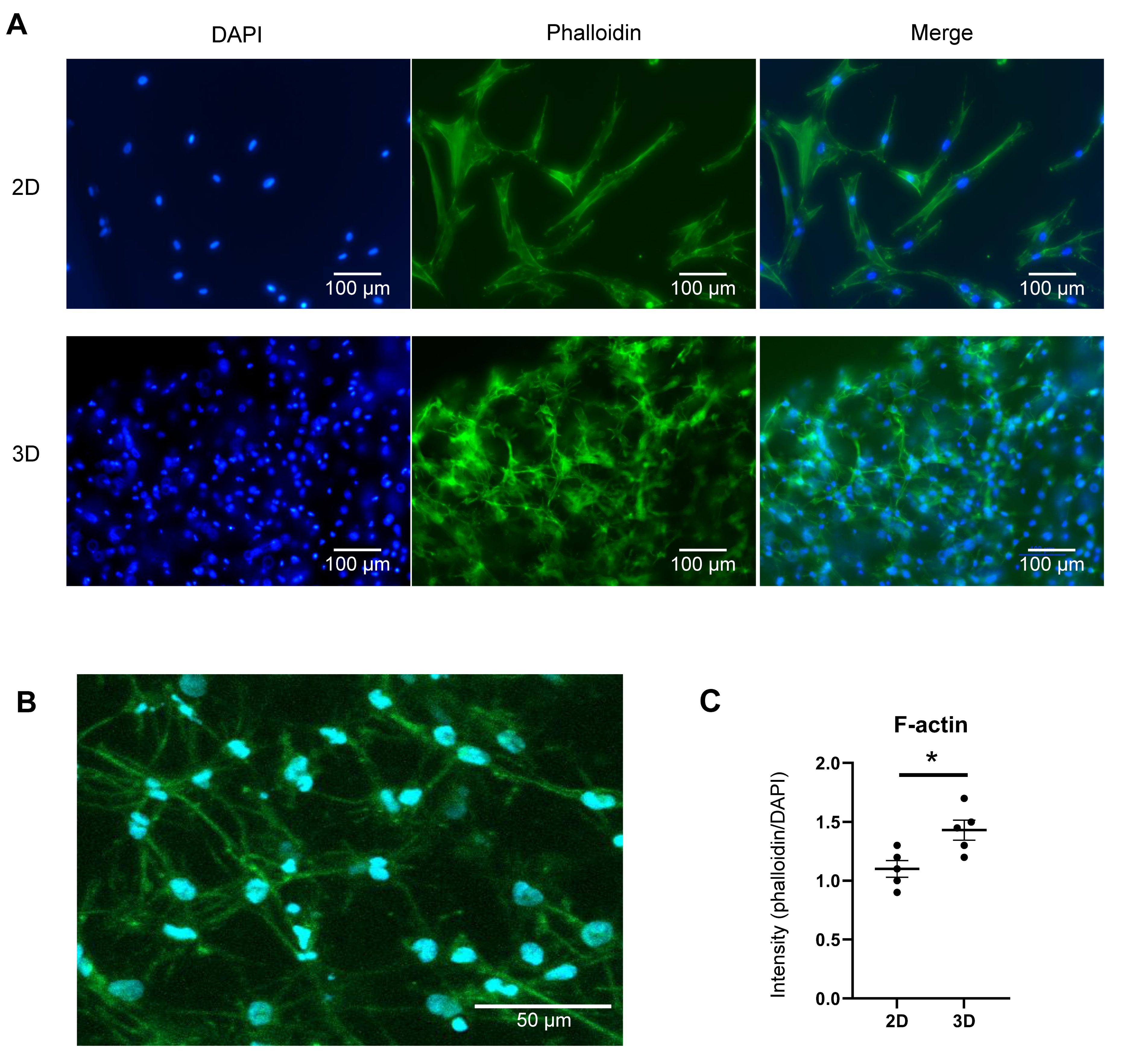 Prosthesis 07 00052 g004