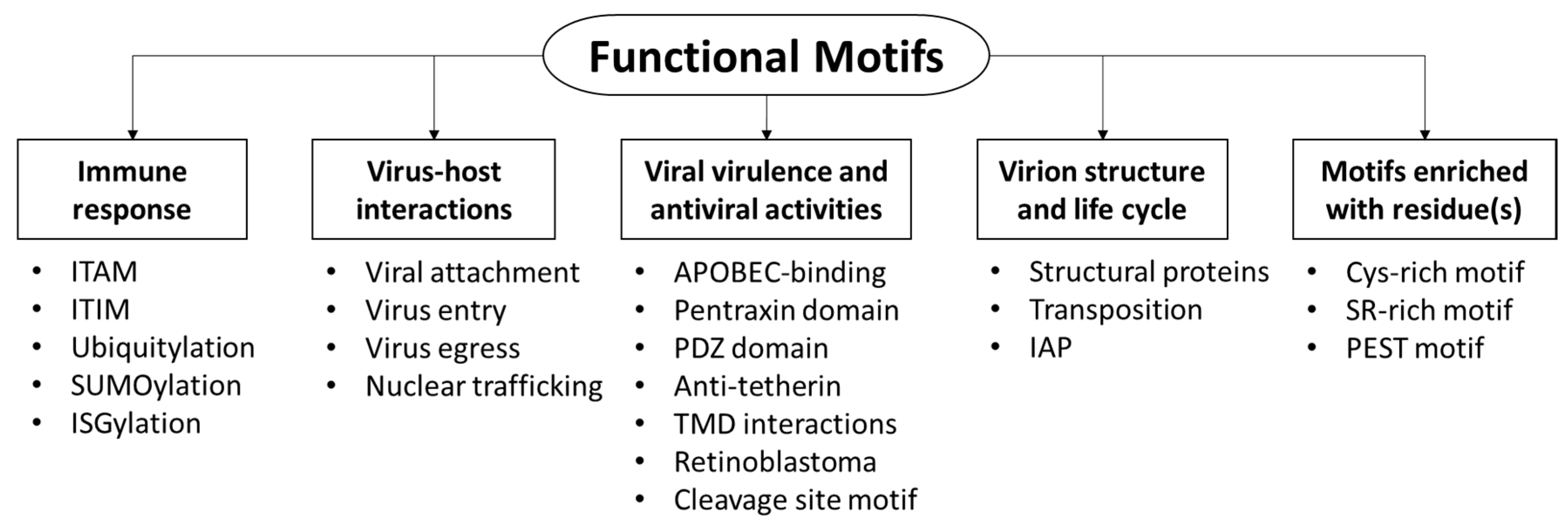 proteomes free full text a review of functional motifs utilized by viruses html functional motifs utilized by viruses