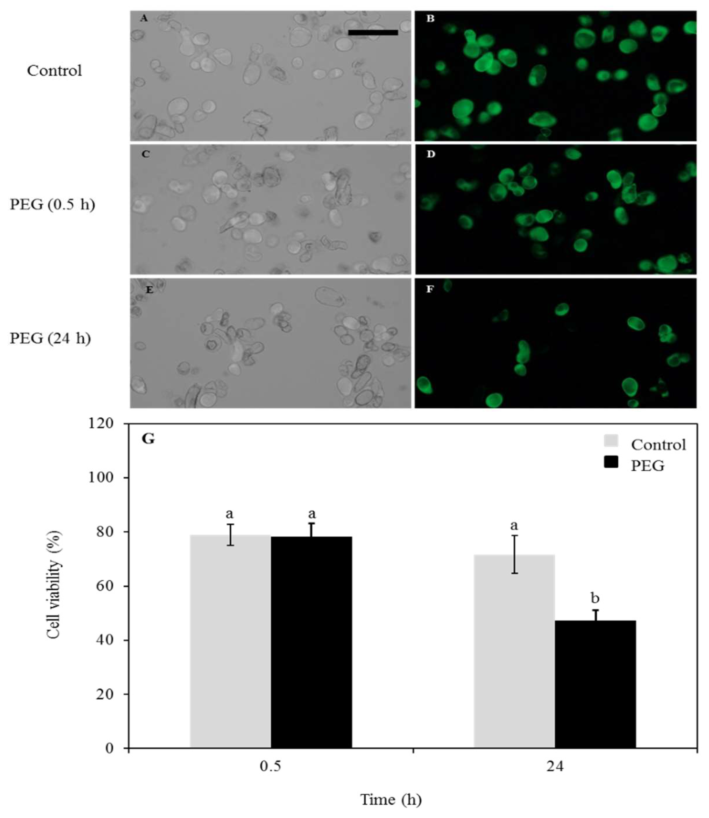 Proteomes 06 00038 g001