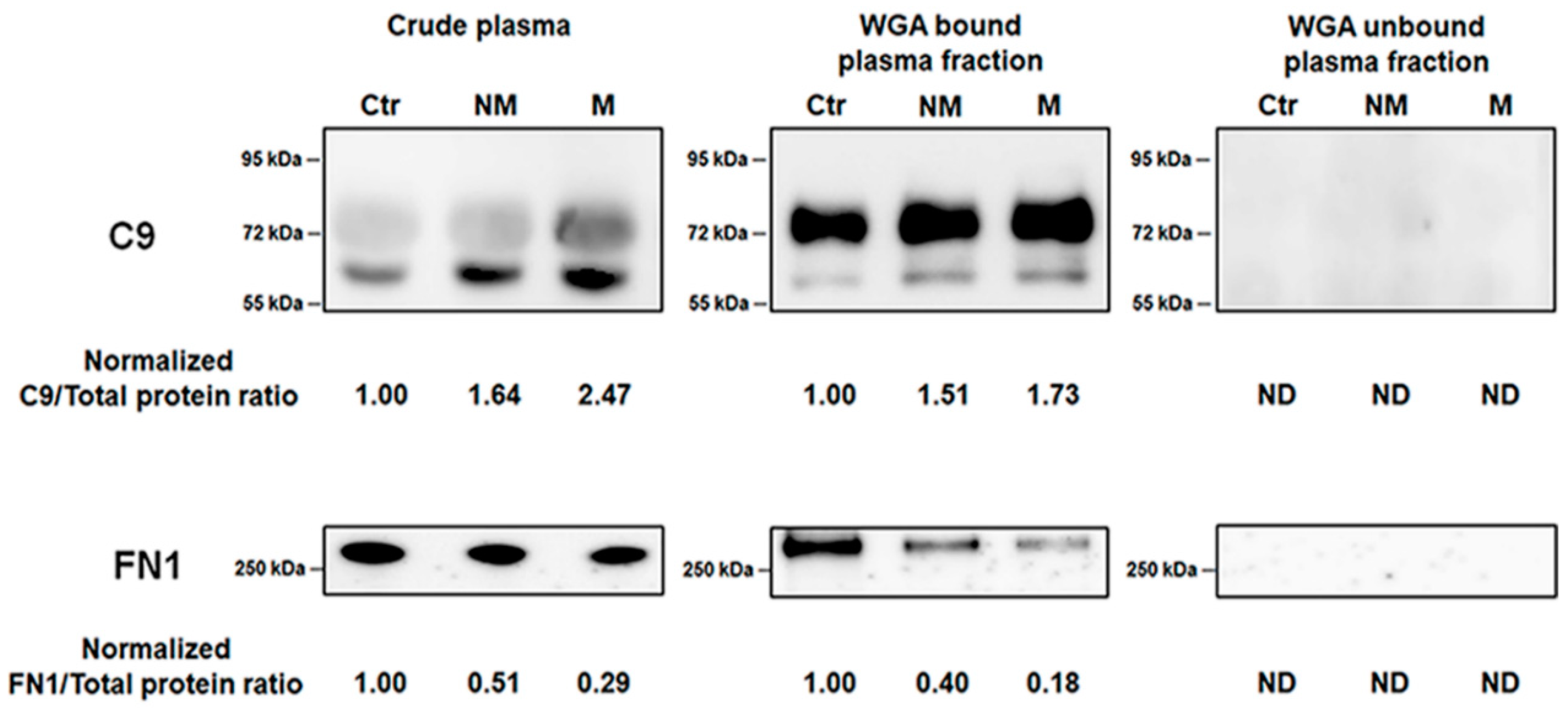 Proteomes 08 00026 g005