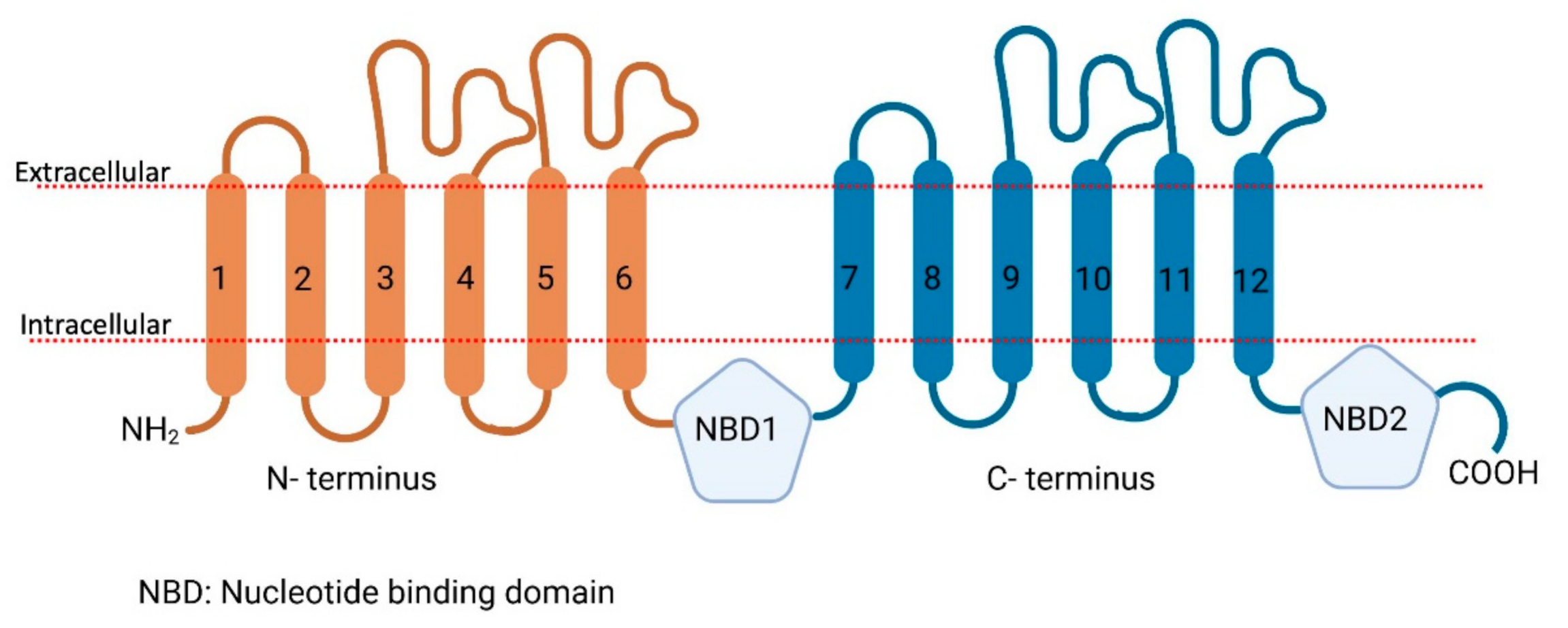 Proteomes 09 00023 g002