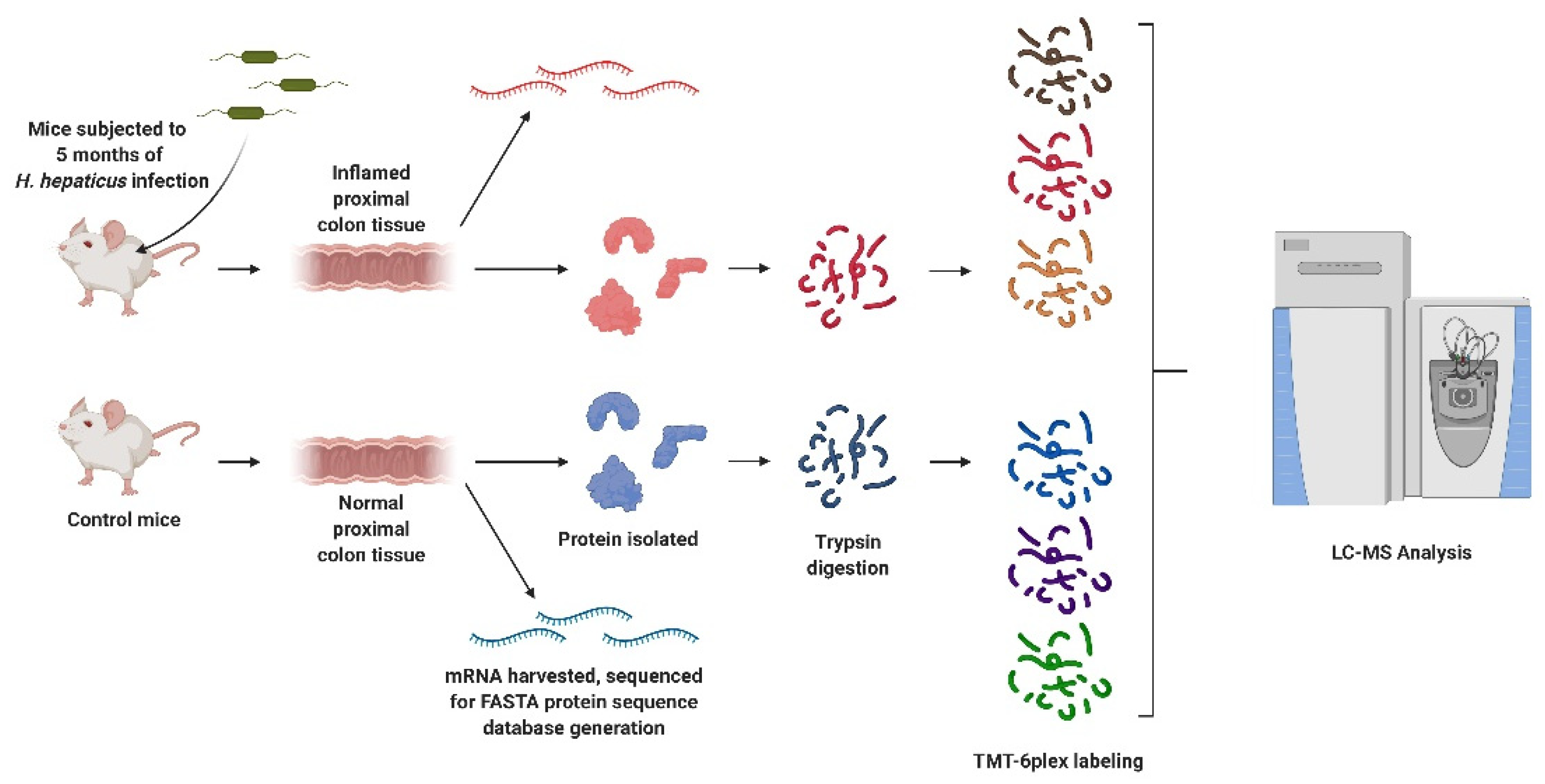 Proteomes 10 00011 sch001