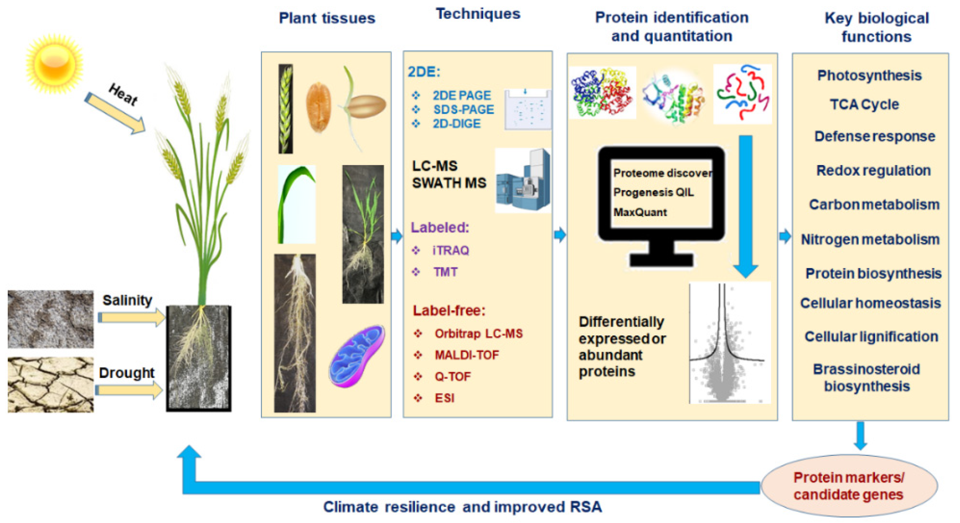 Proteomes 10 00017 g001 Proteomes 10 00017 g001