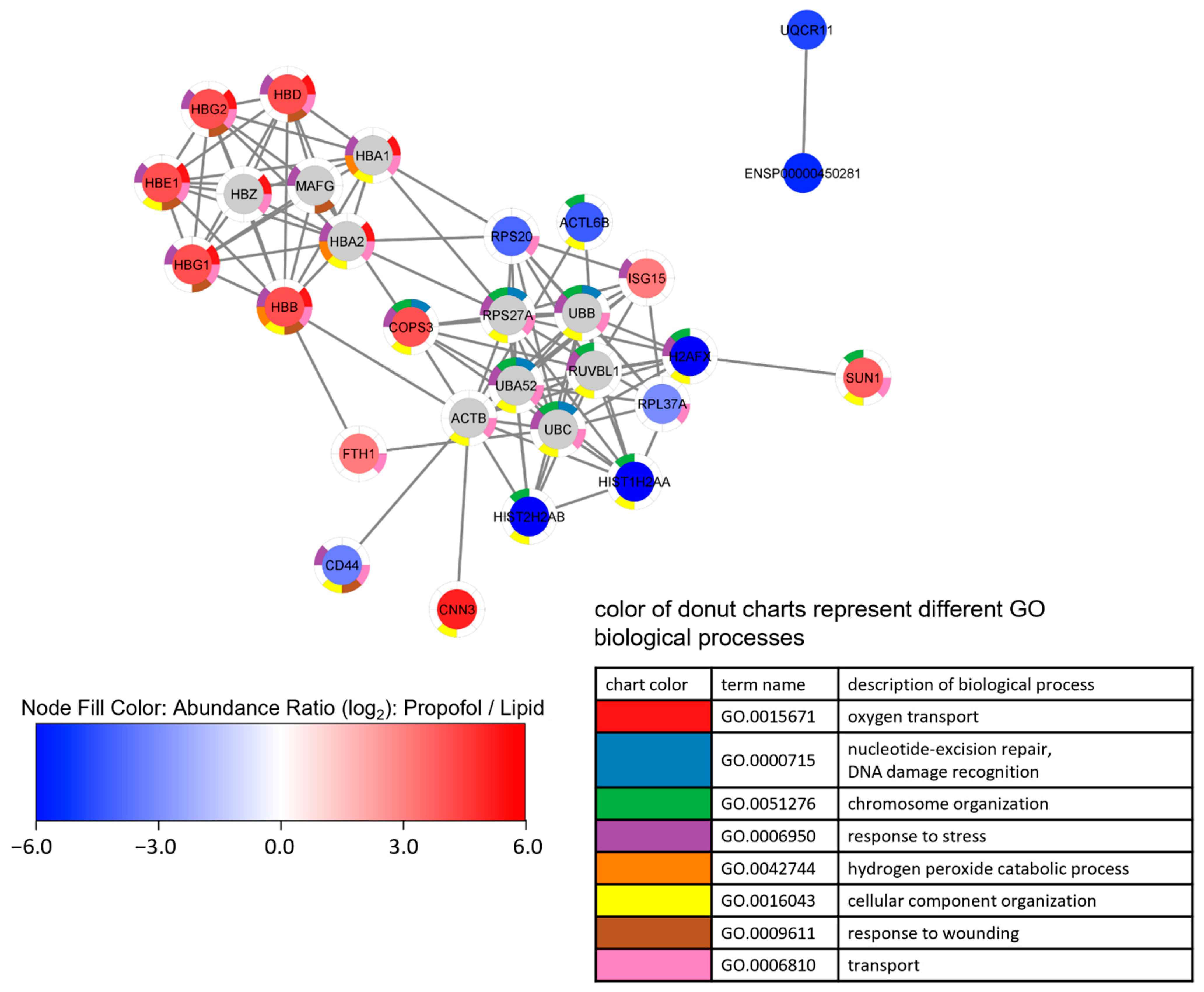 Proteomes 10 00028 g004