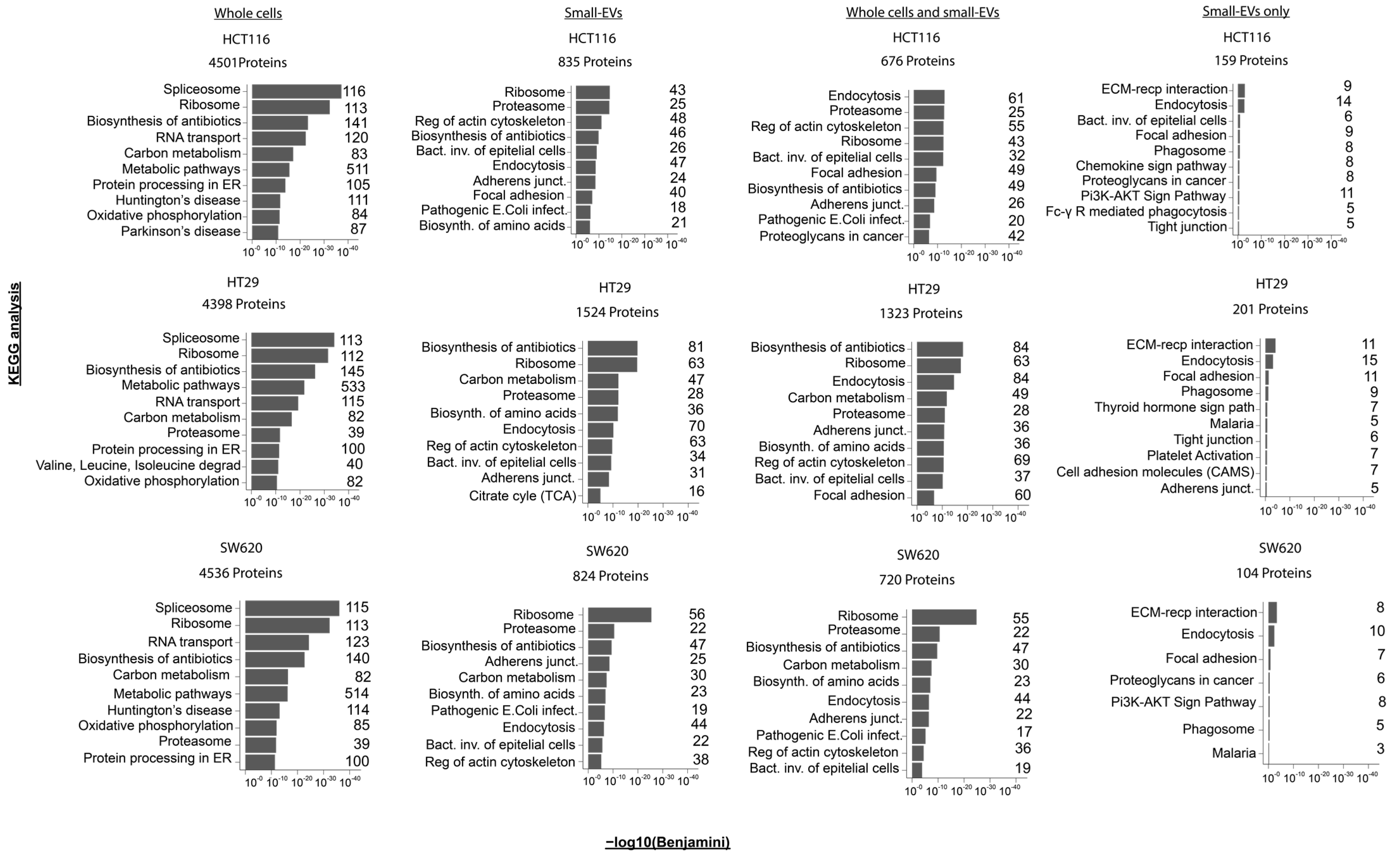 Proteomes 11 00003 g003 Proteomes 11 00003 g003