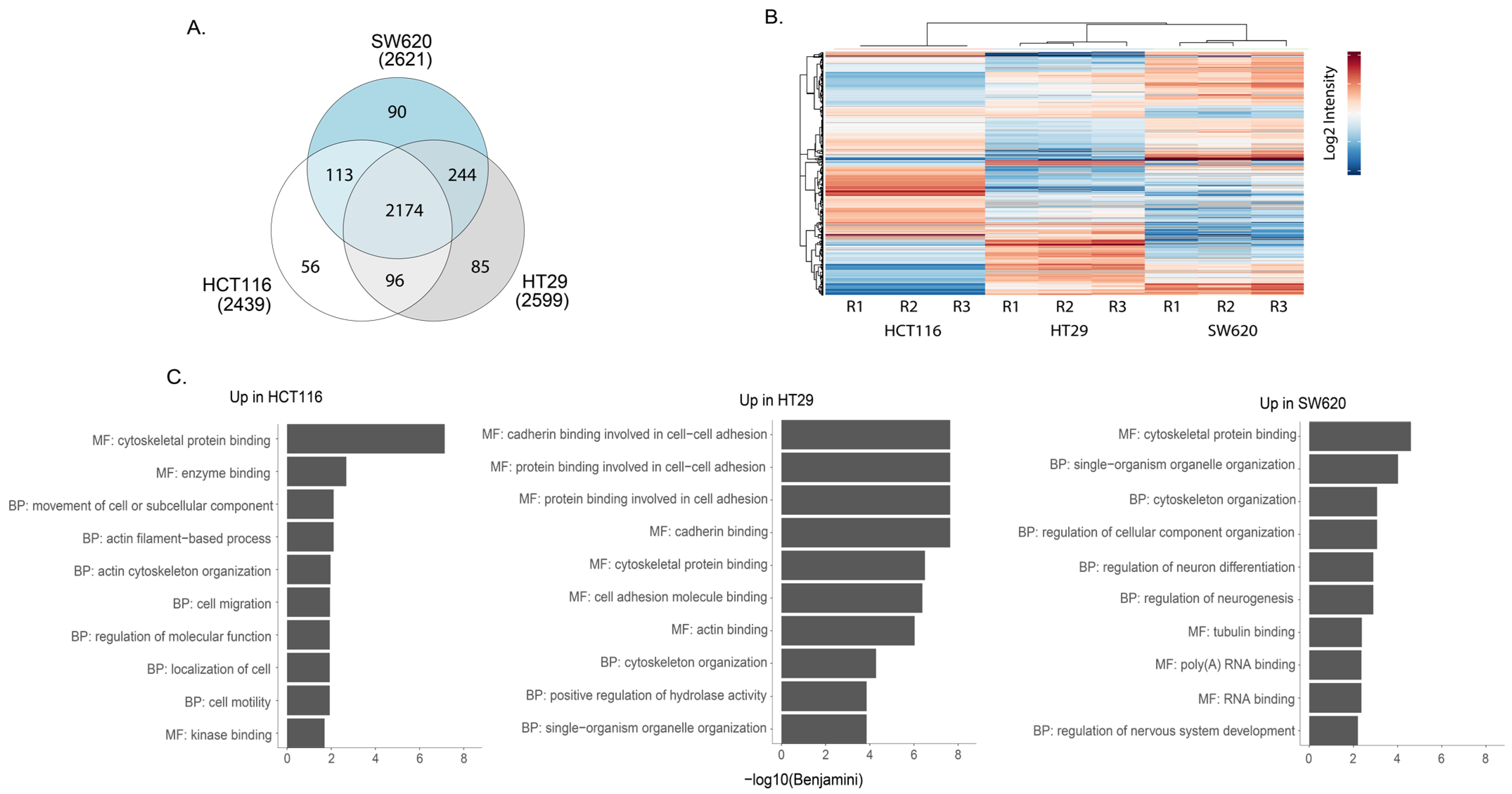 Proteomes 11 00003 g005 Proteomes 11 00003 g005
