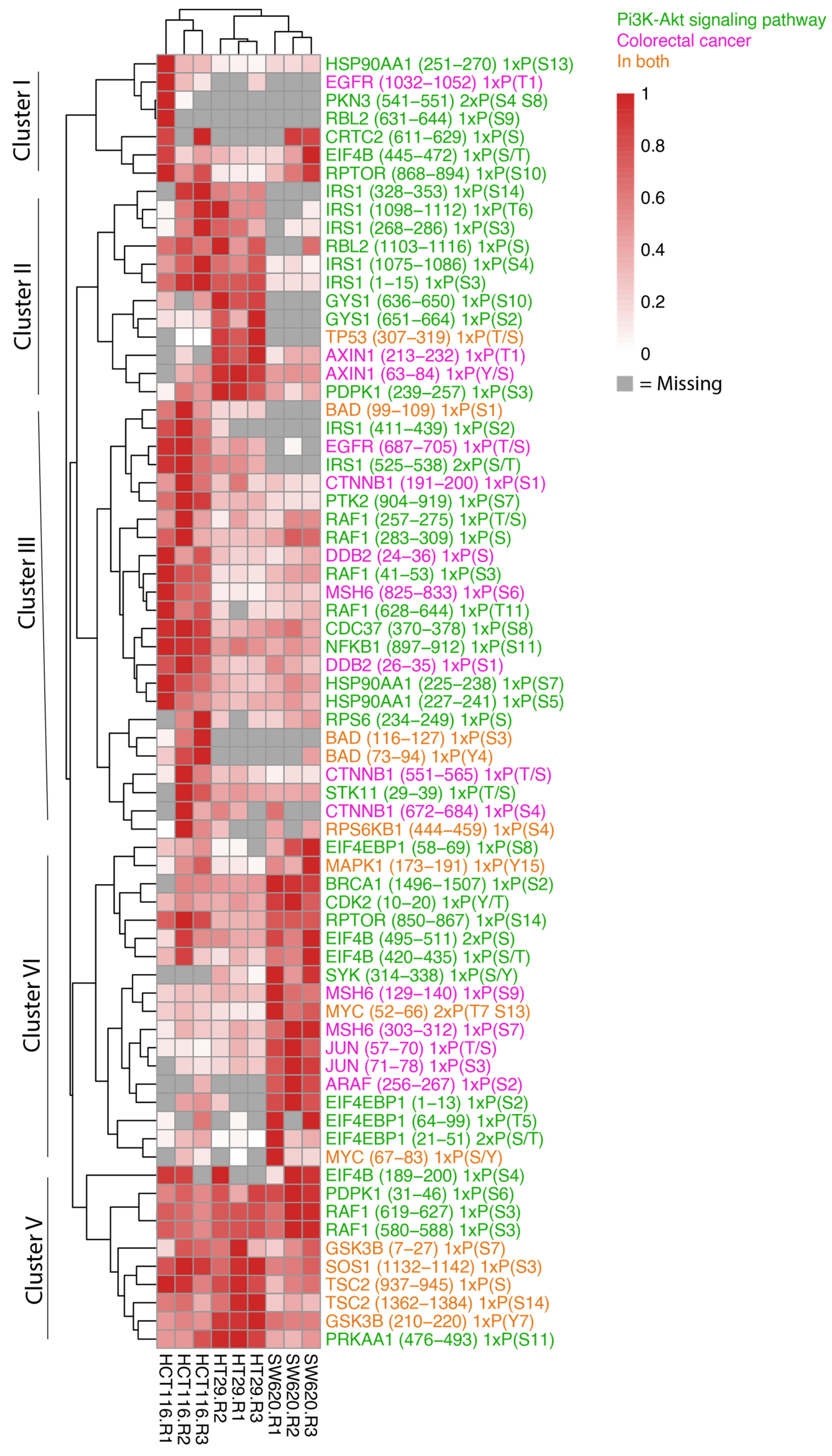 Proteomes 11 00003 g006 Proteomes 11 00003 g006