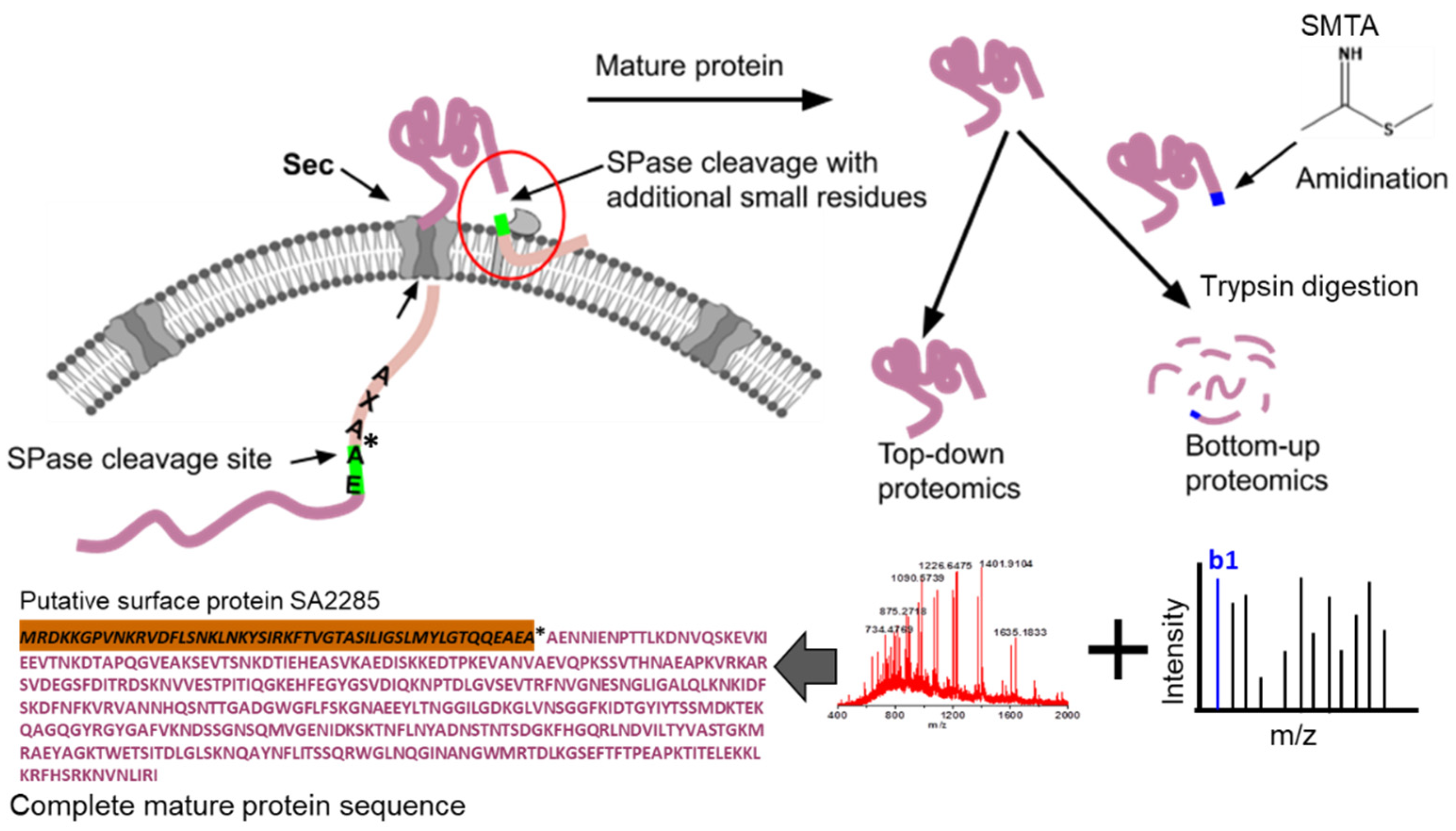 Proteomes 11 00008 g001 Proteomes 11 00008 g001