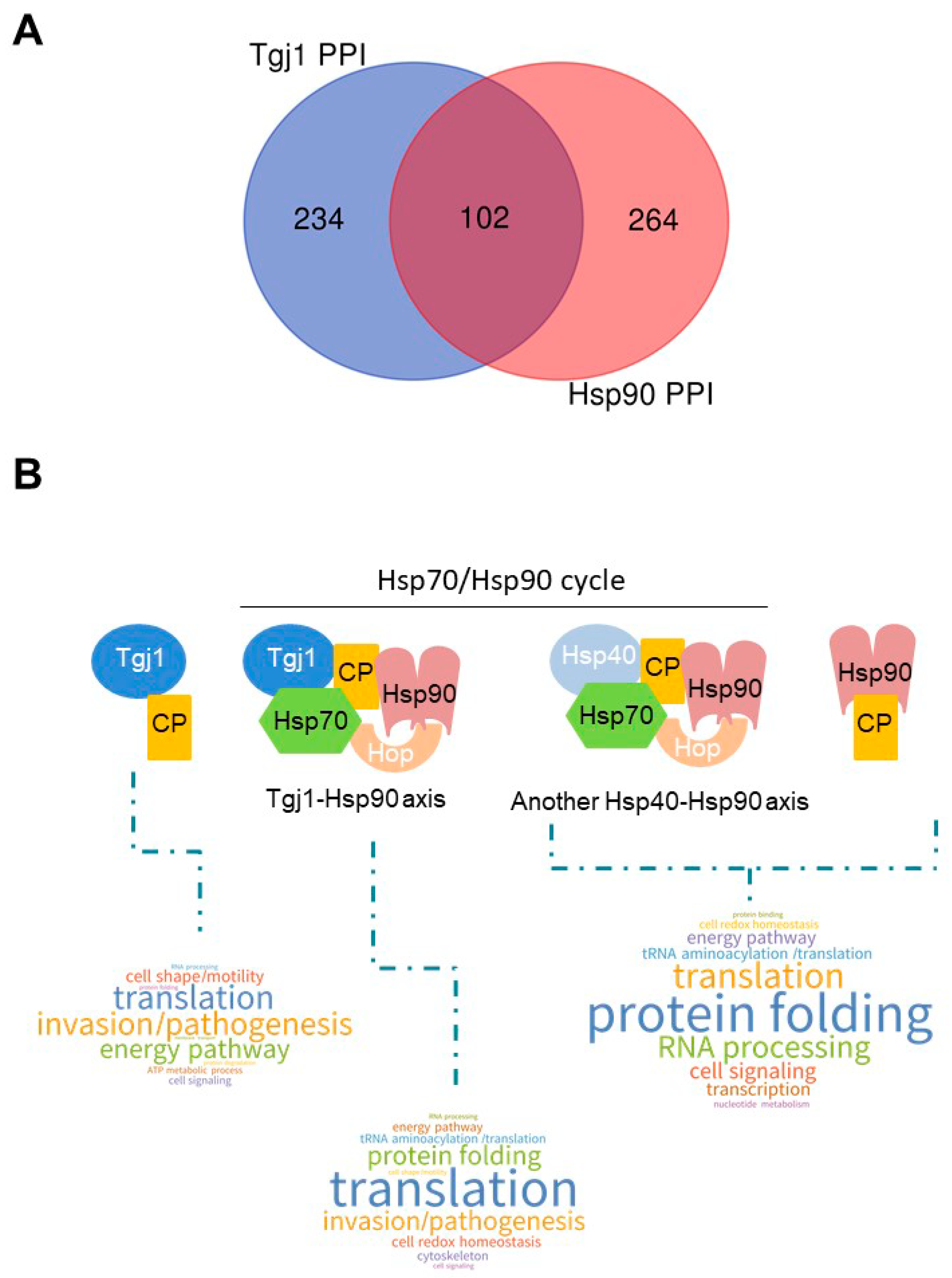 Proteomes 11 00009 g005 Proteomes 11 00009 g005