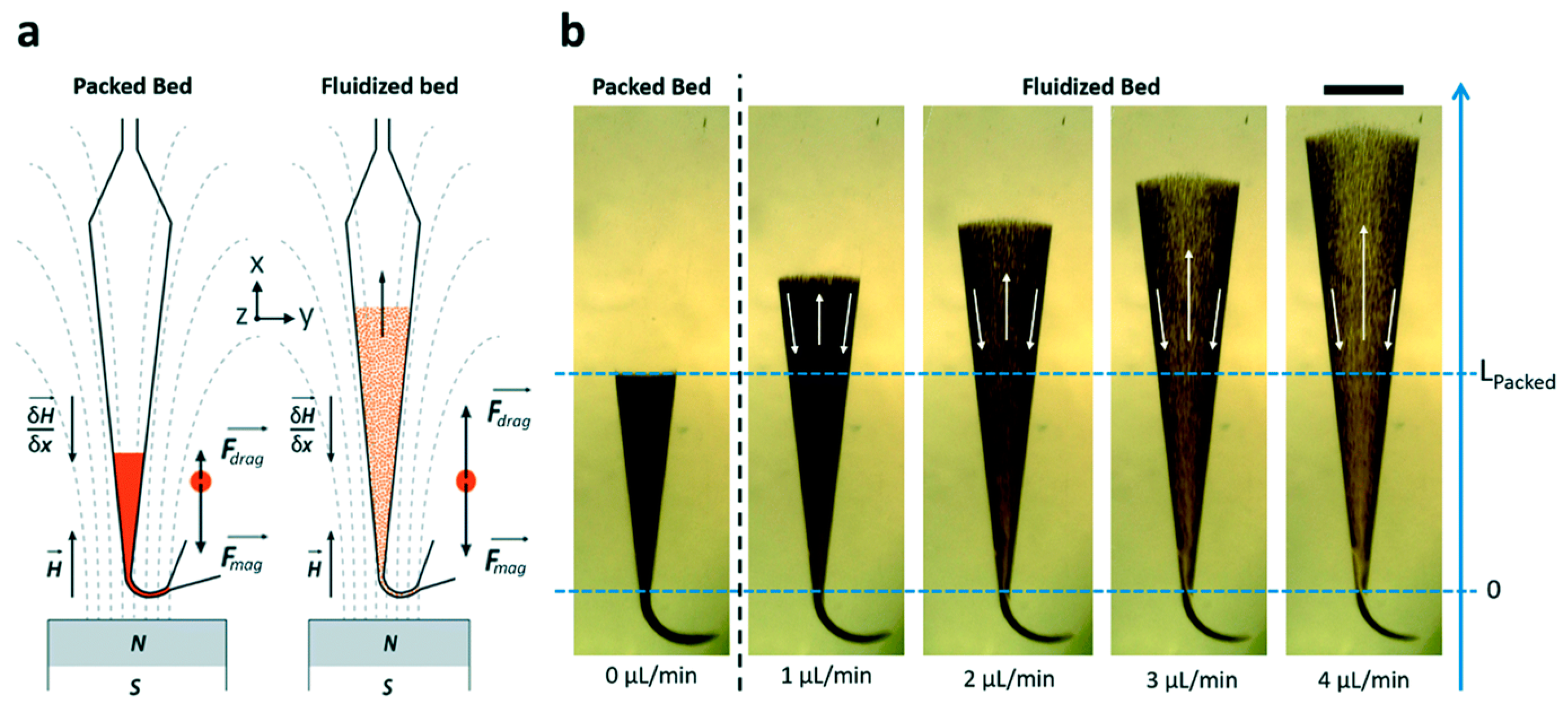 Proteomes 11 00019 g001 Proteomes 11 00019 g001