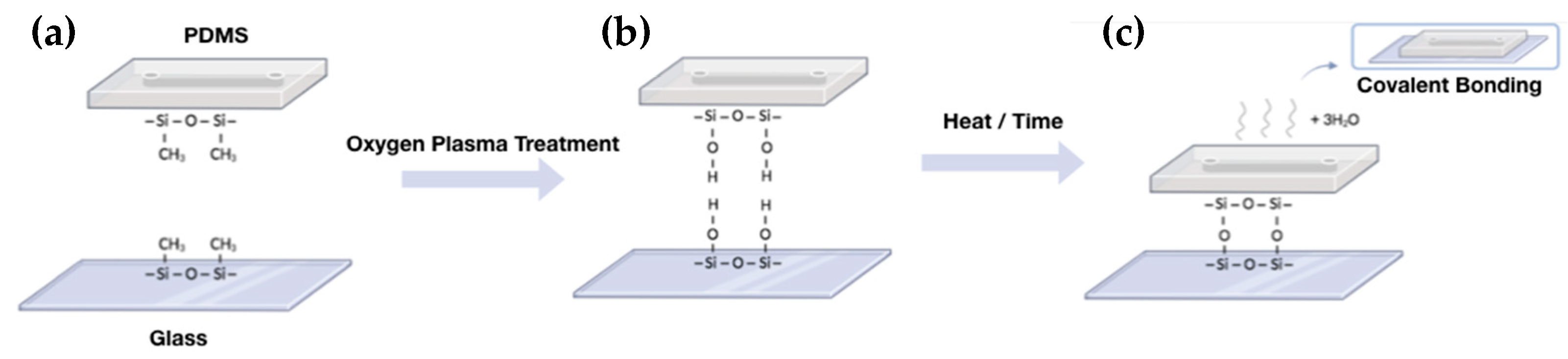 Proteomes 11 00019 g003 Proteomes 11 00019 g003