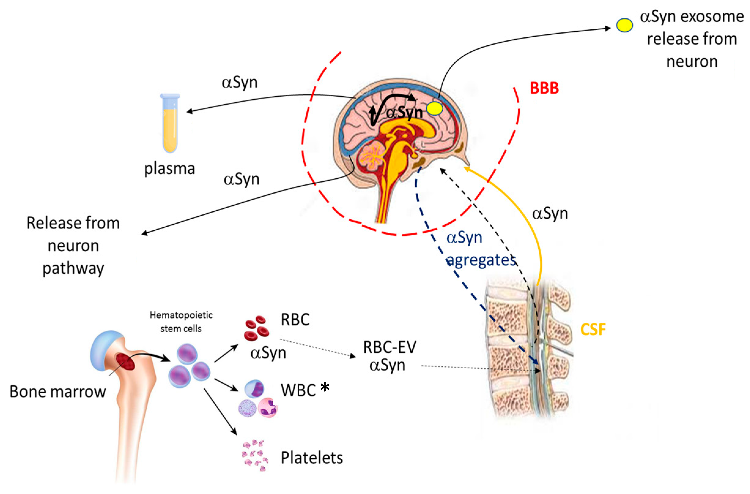 Proteomes 11 00019 g008 Proteomes 11 00019 g008