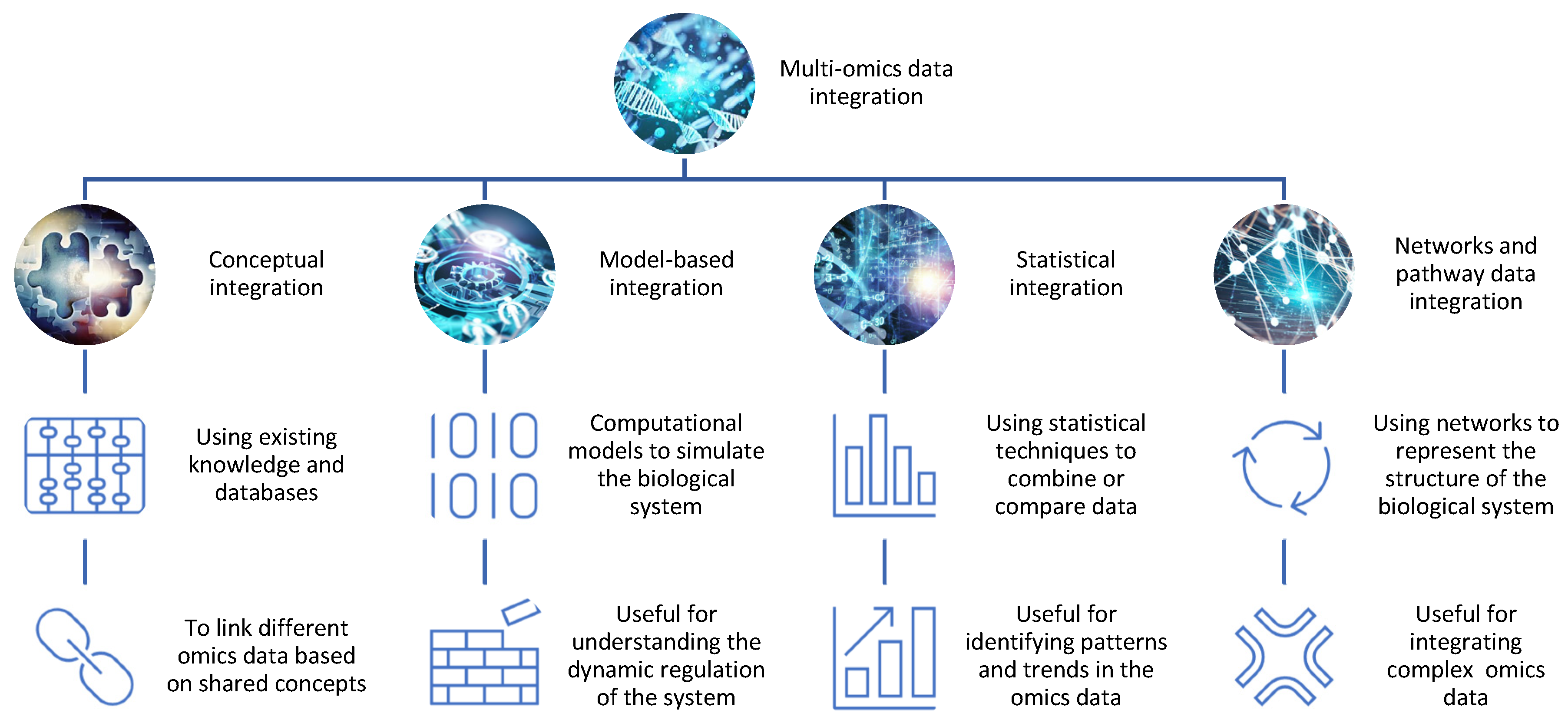 Proteomes 11 00034 g001 Proteomes 11 00034 g001