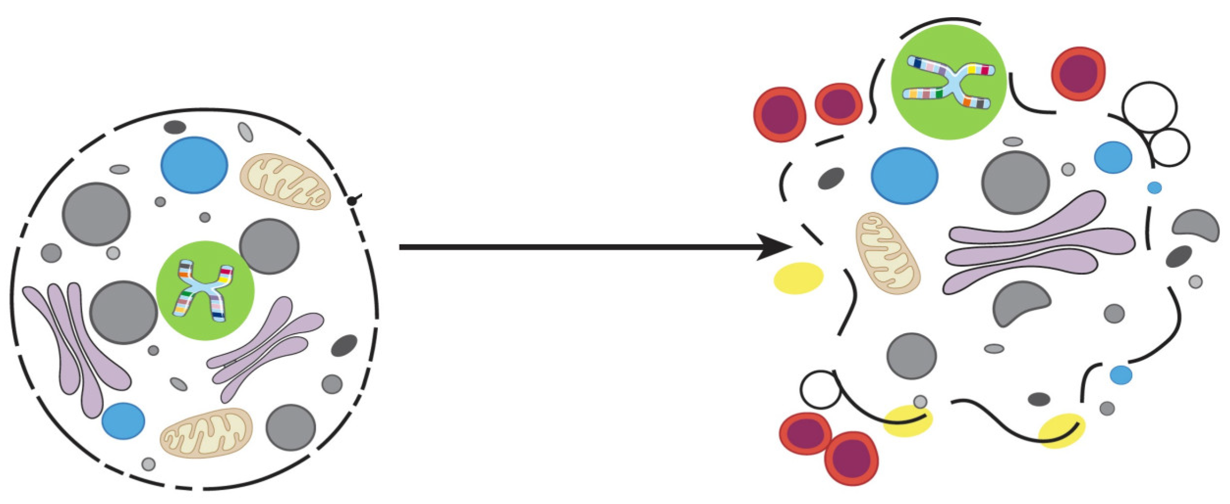 Proteomes 12 00003 g003 Proteomes 12 00003 g003