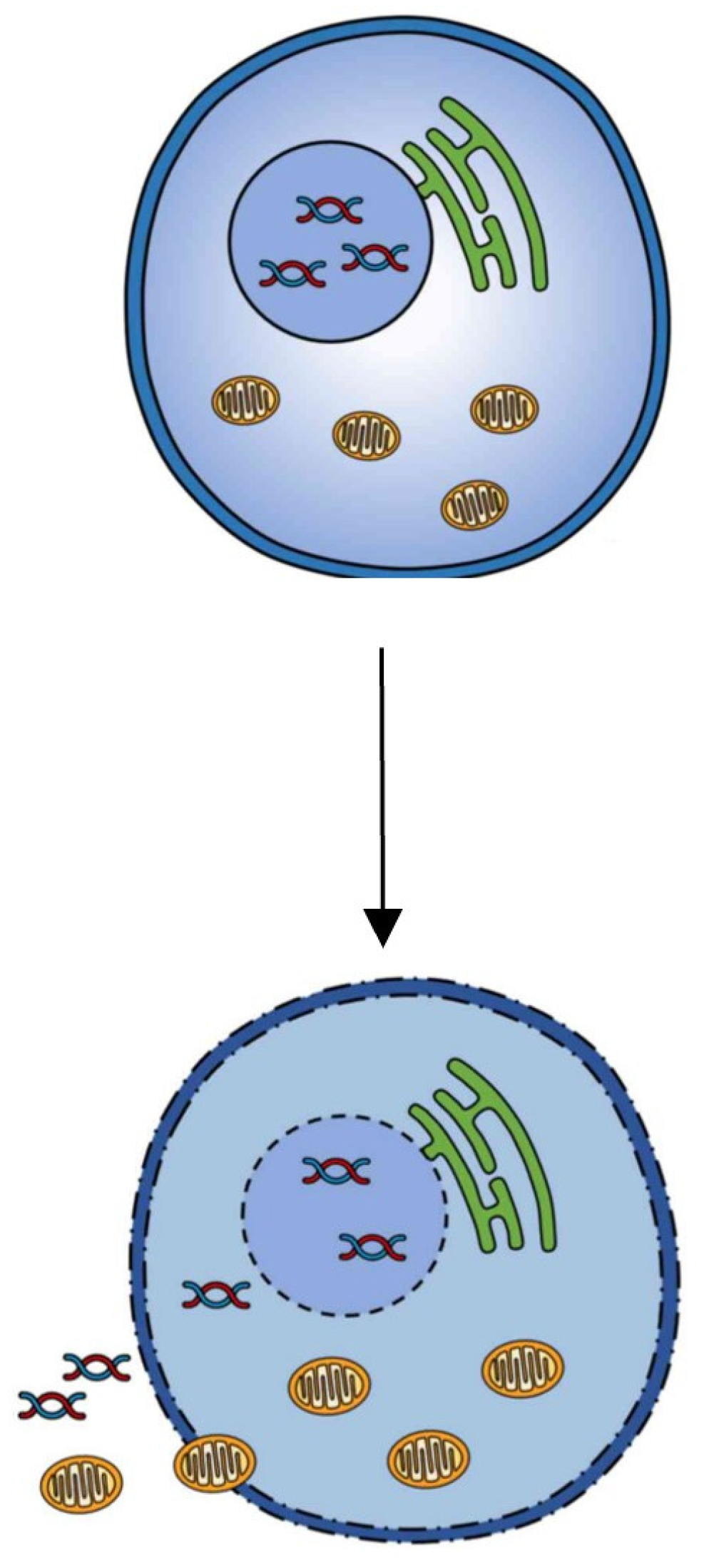 Proteomes 12 00003 g005 Proteomes 12 00003 g005