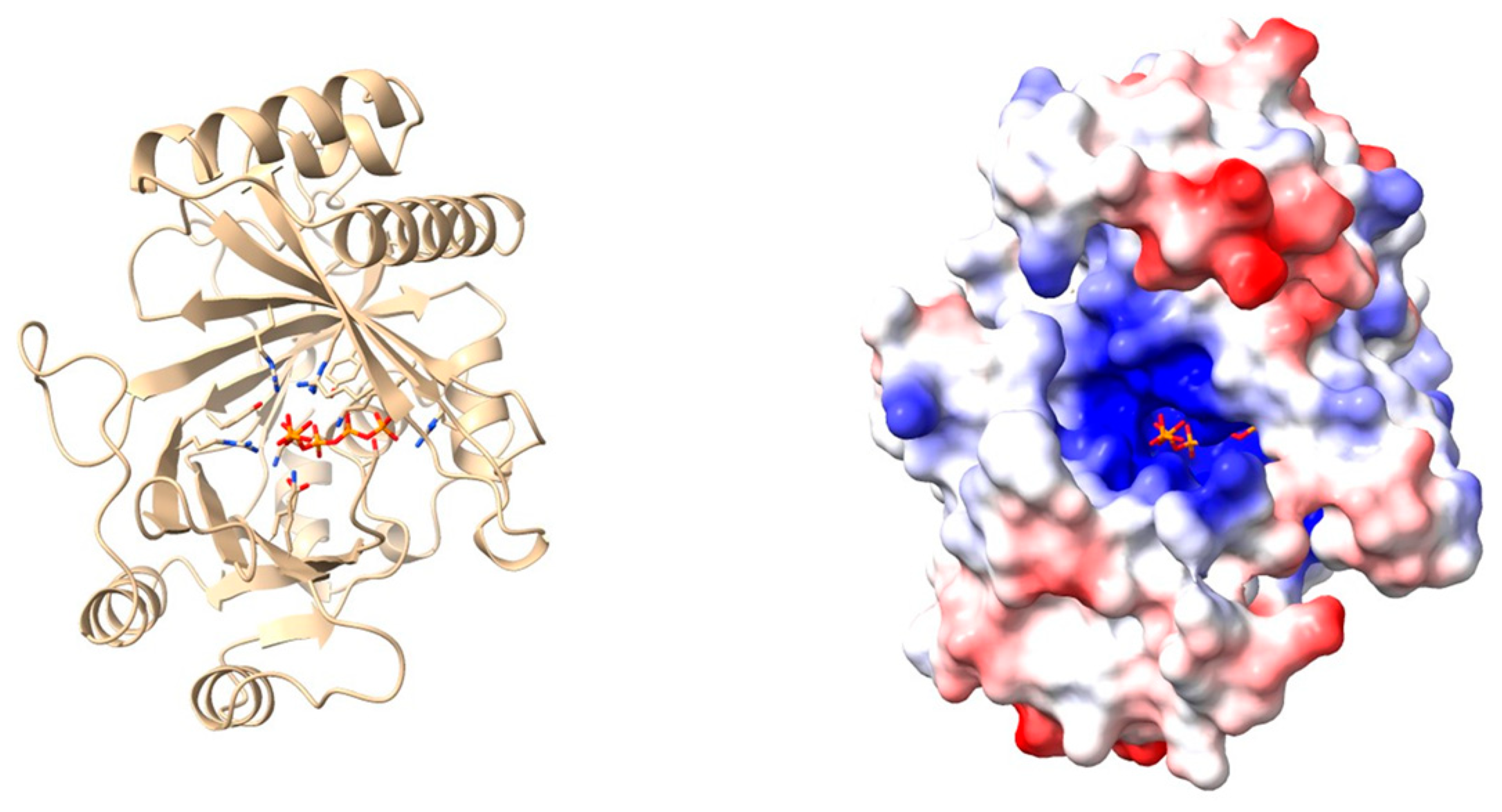 Proteomes 12 00013 g003
