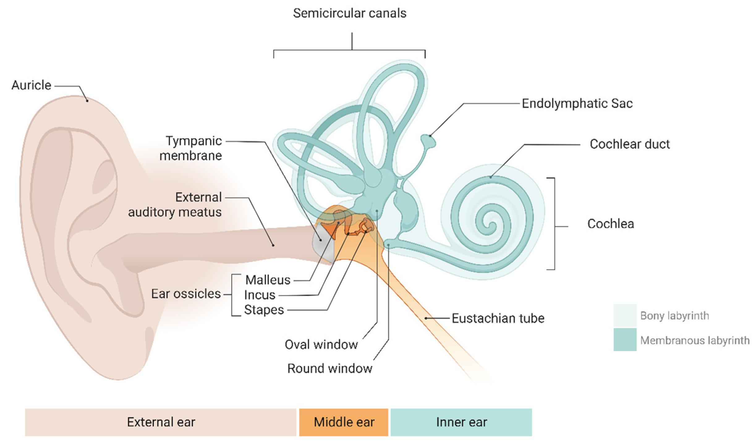 Proteomes 12 00017 g001