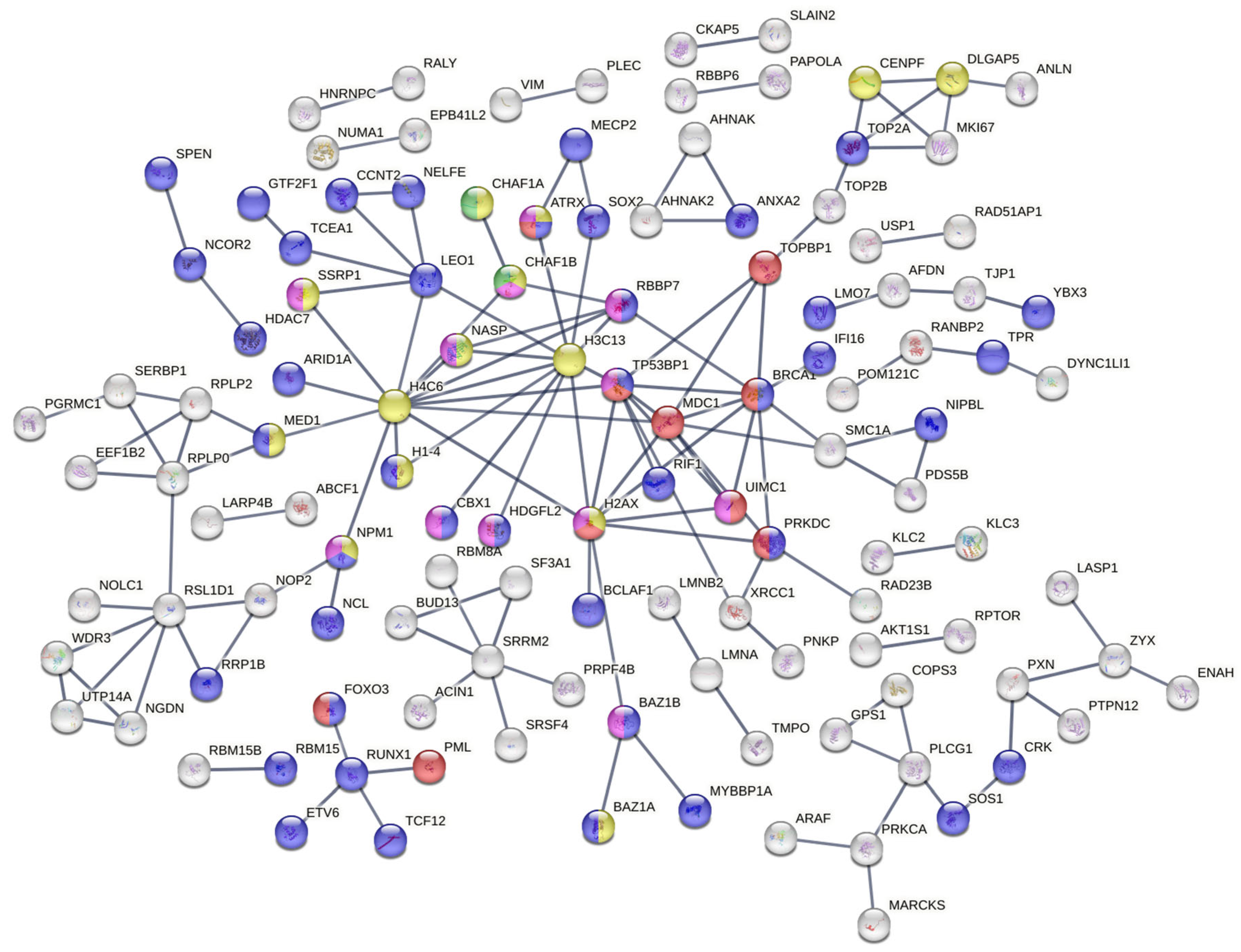 Proteomes 13 00001 g003