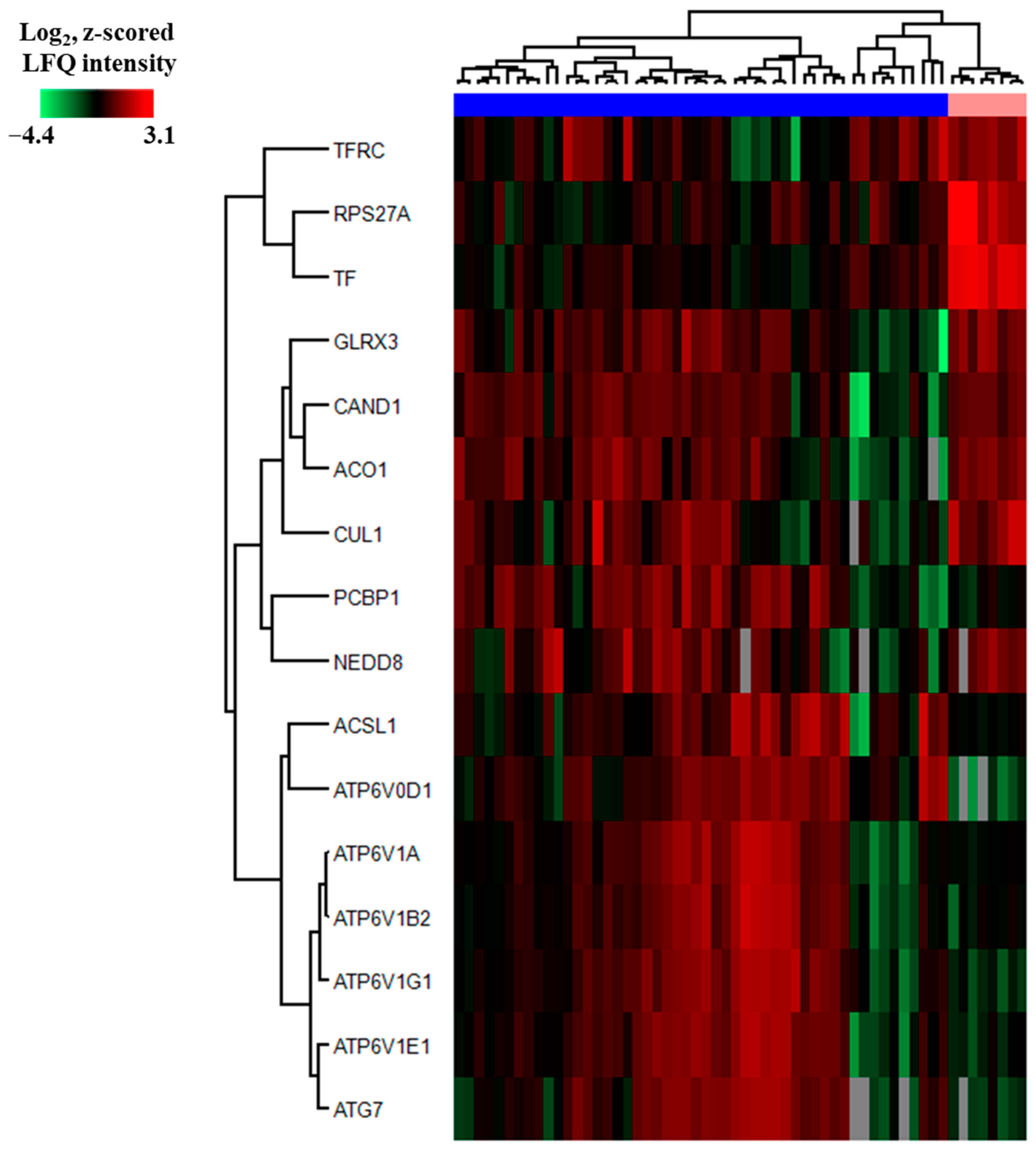 Proteomes 13 00011 g006 Proteomes 13 00011 g006