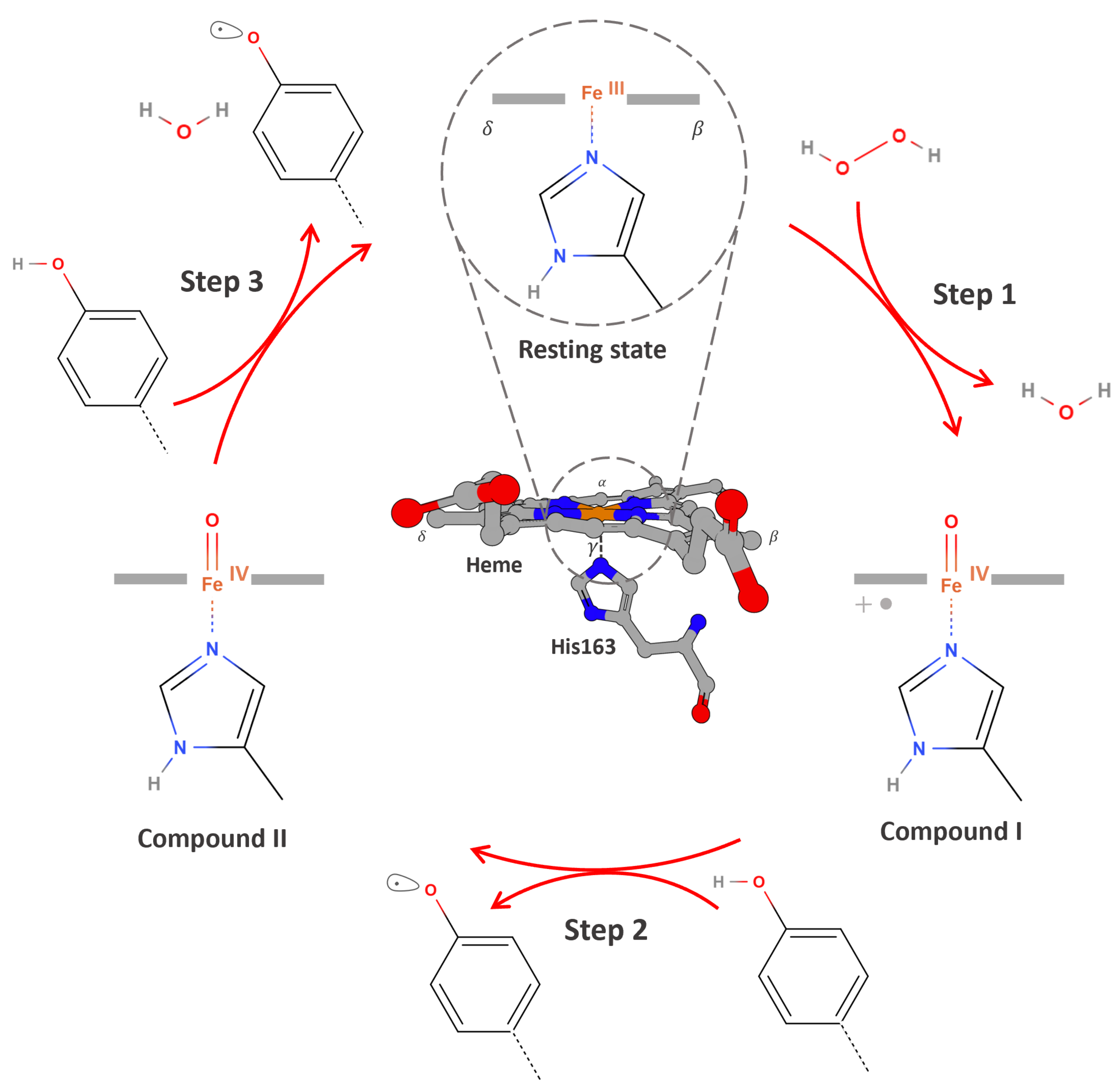 Proteomes 13 00026 g002