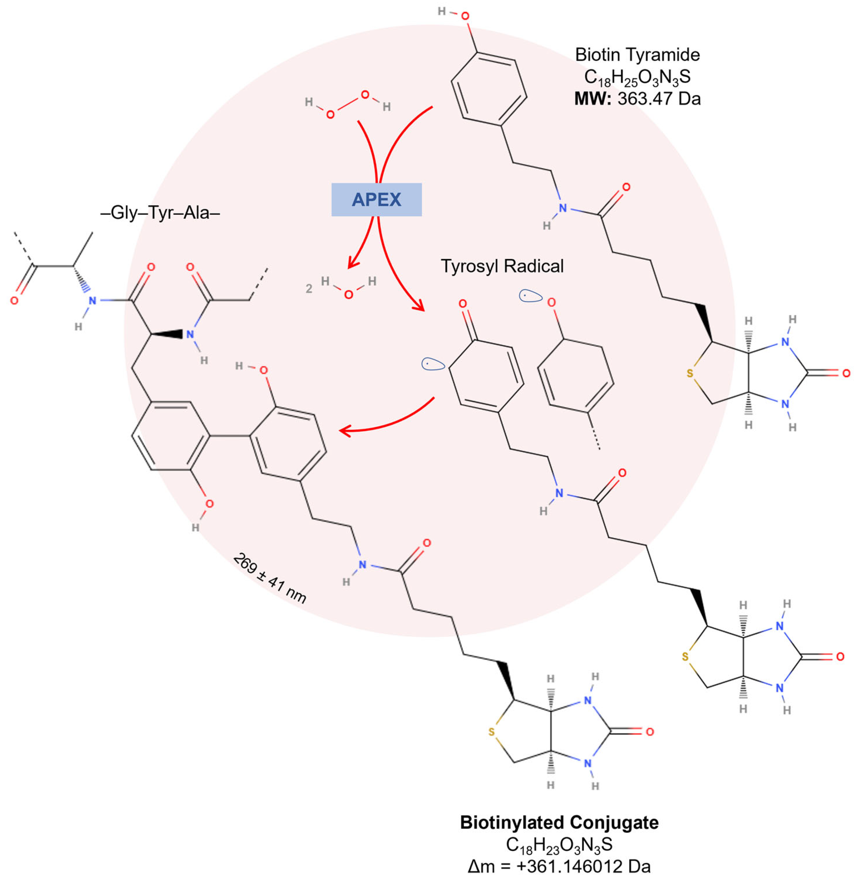 Proteomes 13 00026 g005