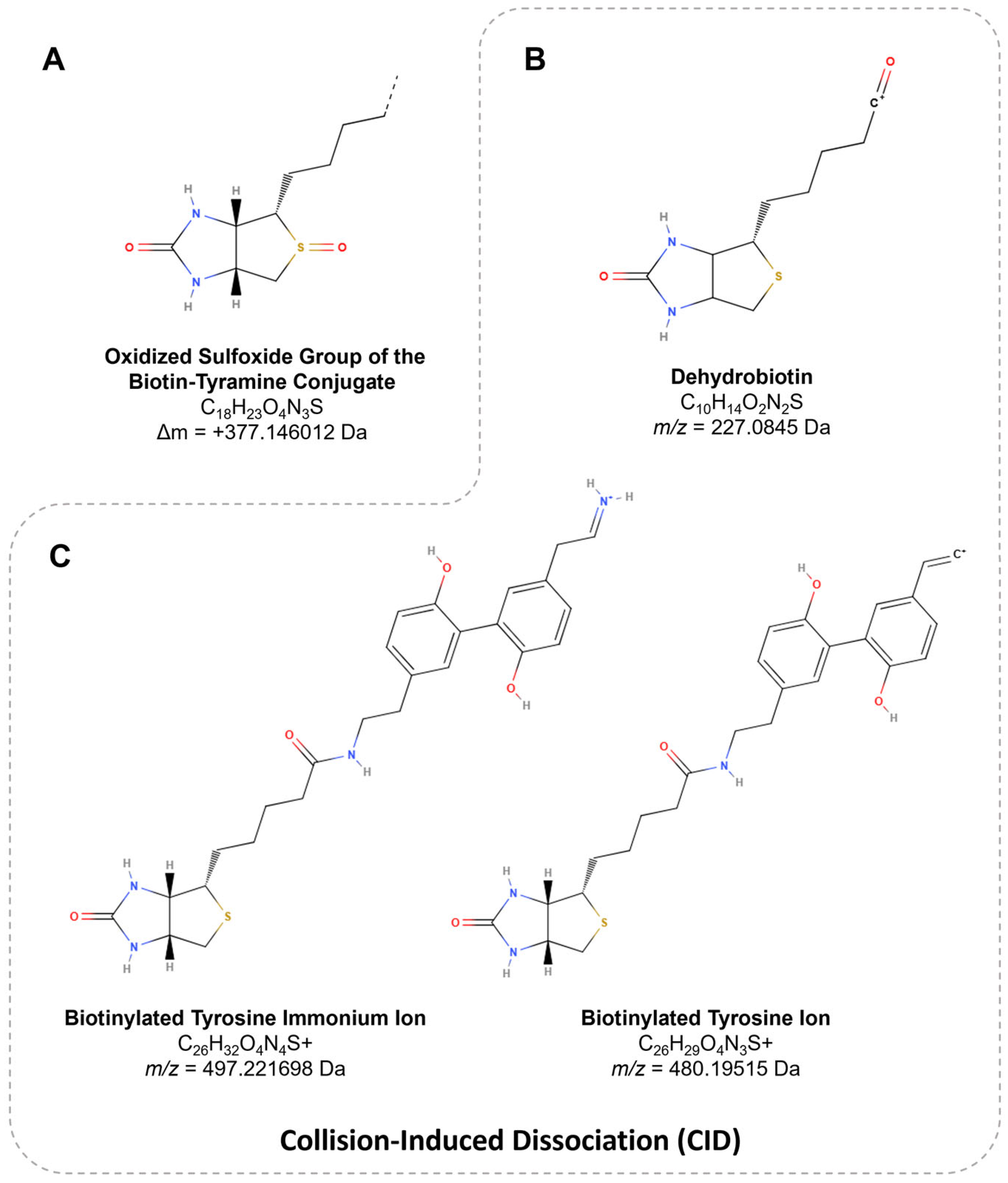 Proteomes 13 00026 g007
