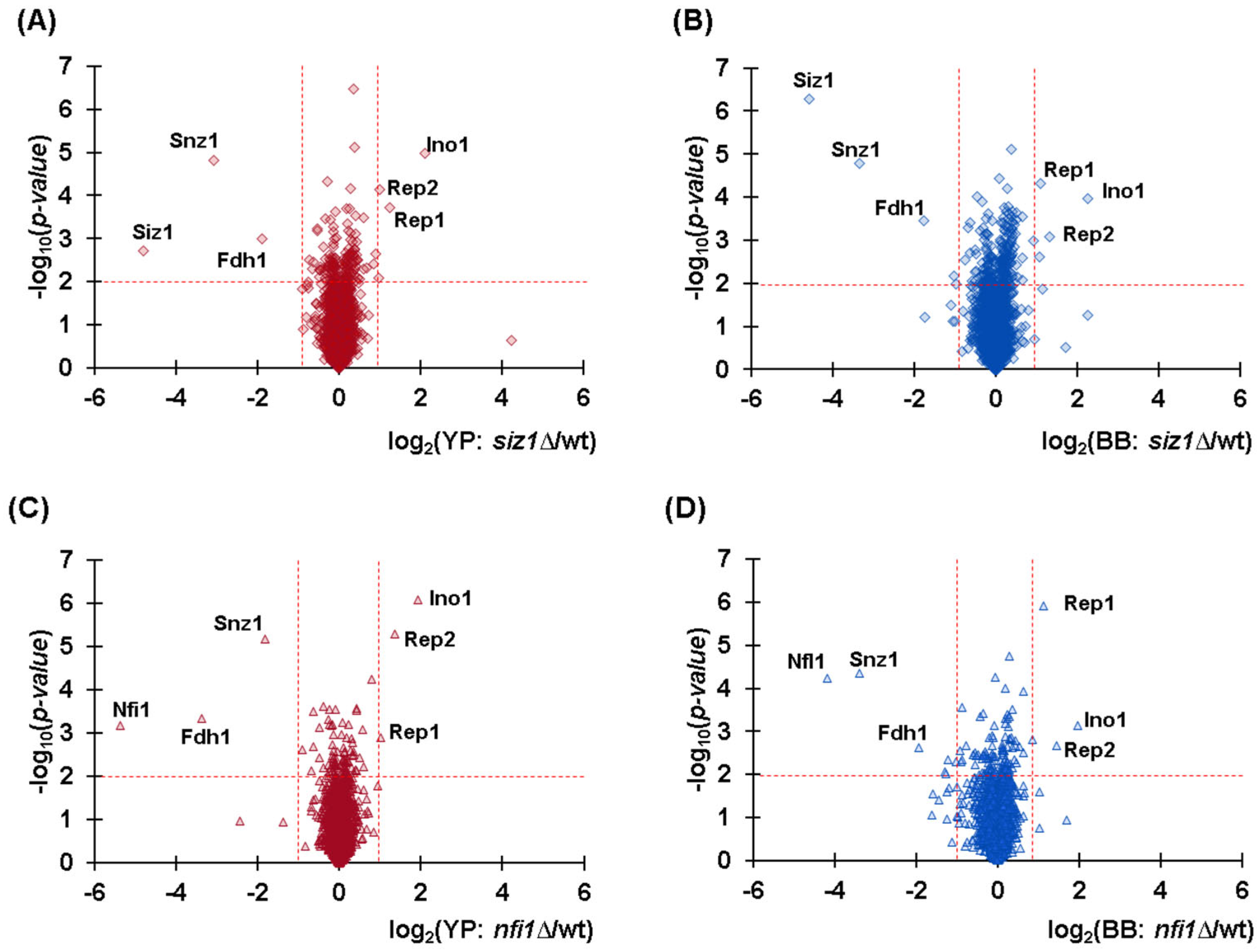 Proteomes 13 00028 g004