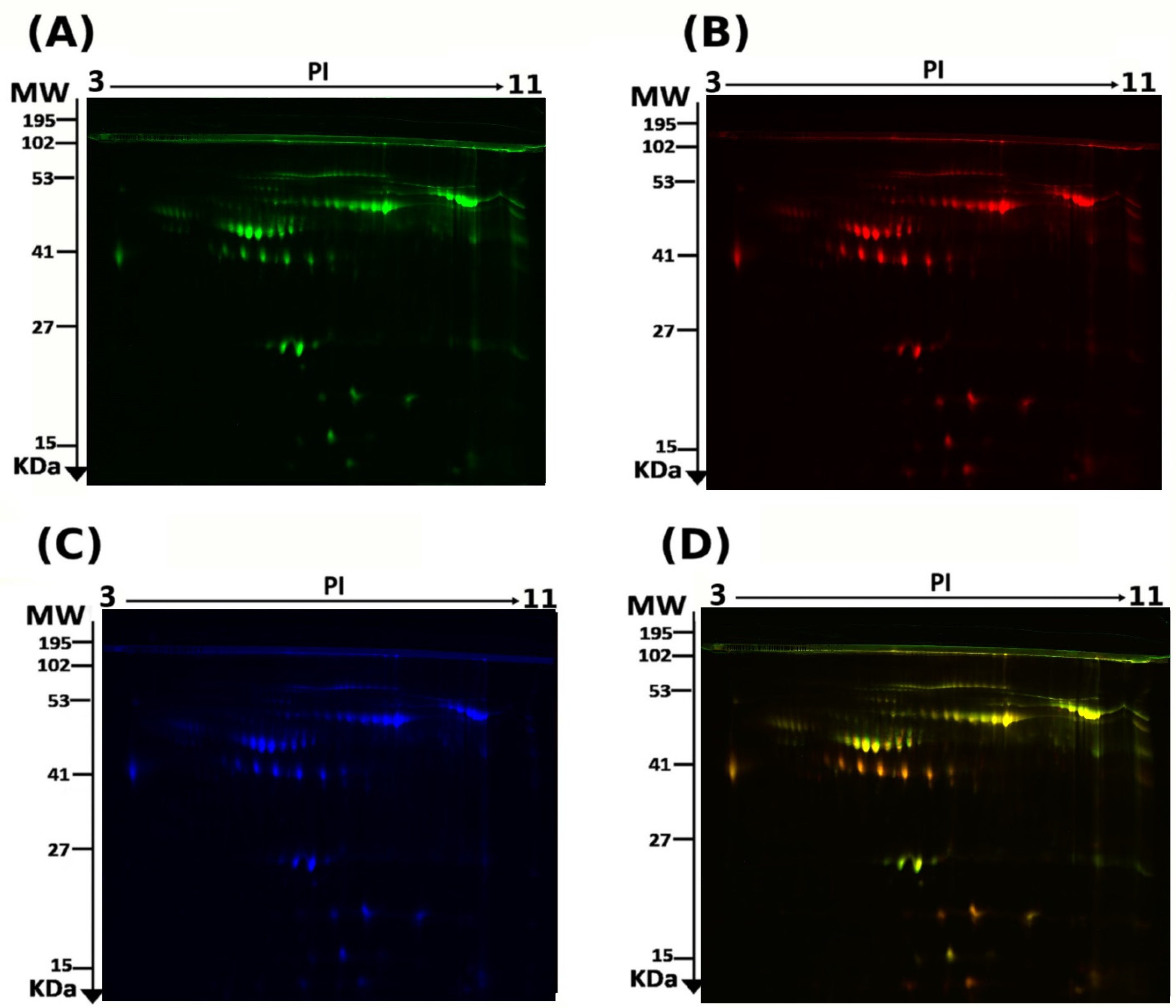 Proteomes 13 00032 g001 Proteomes 13 00032 g001