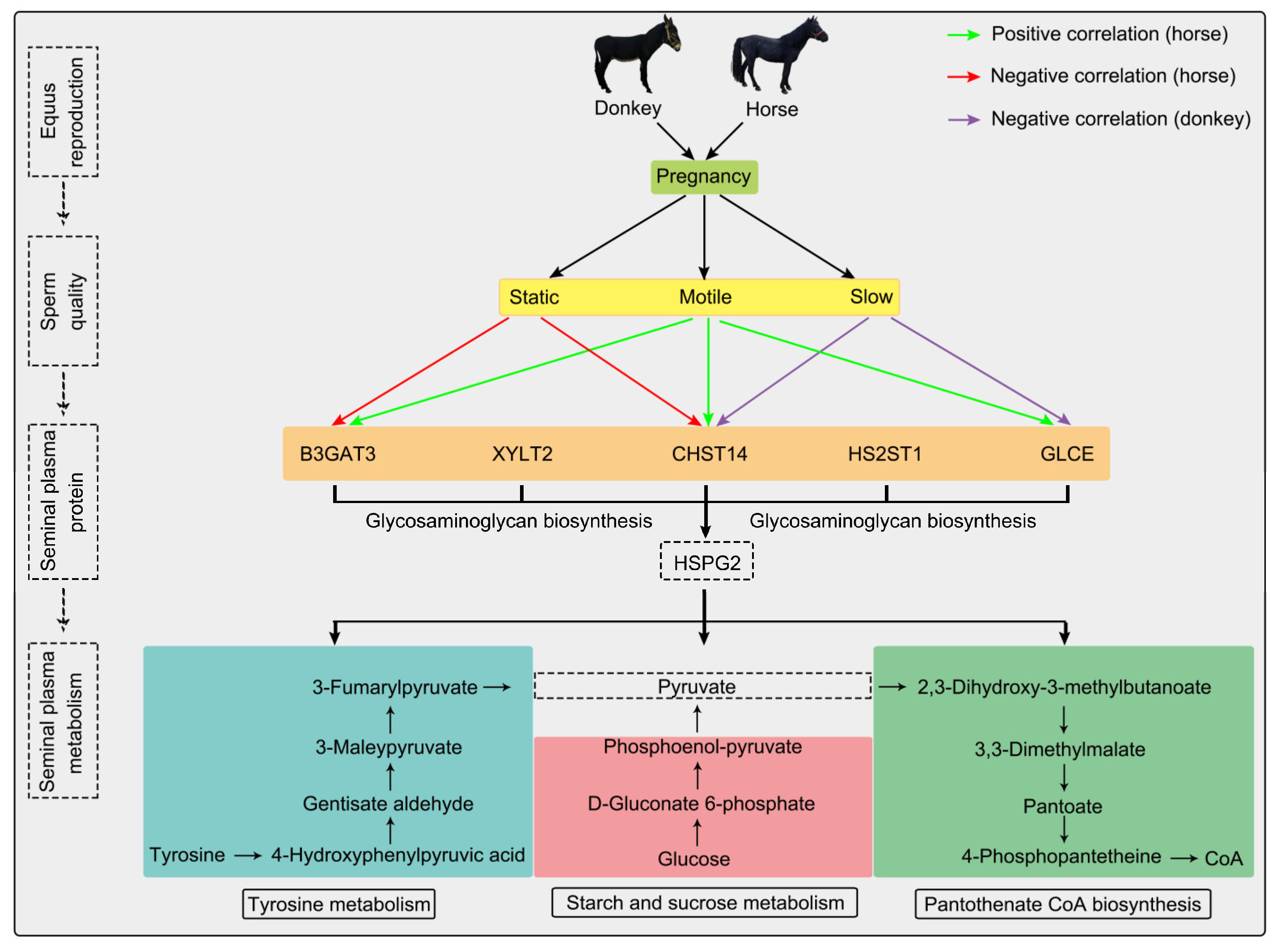 Proteomes 13 00033 g004
