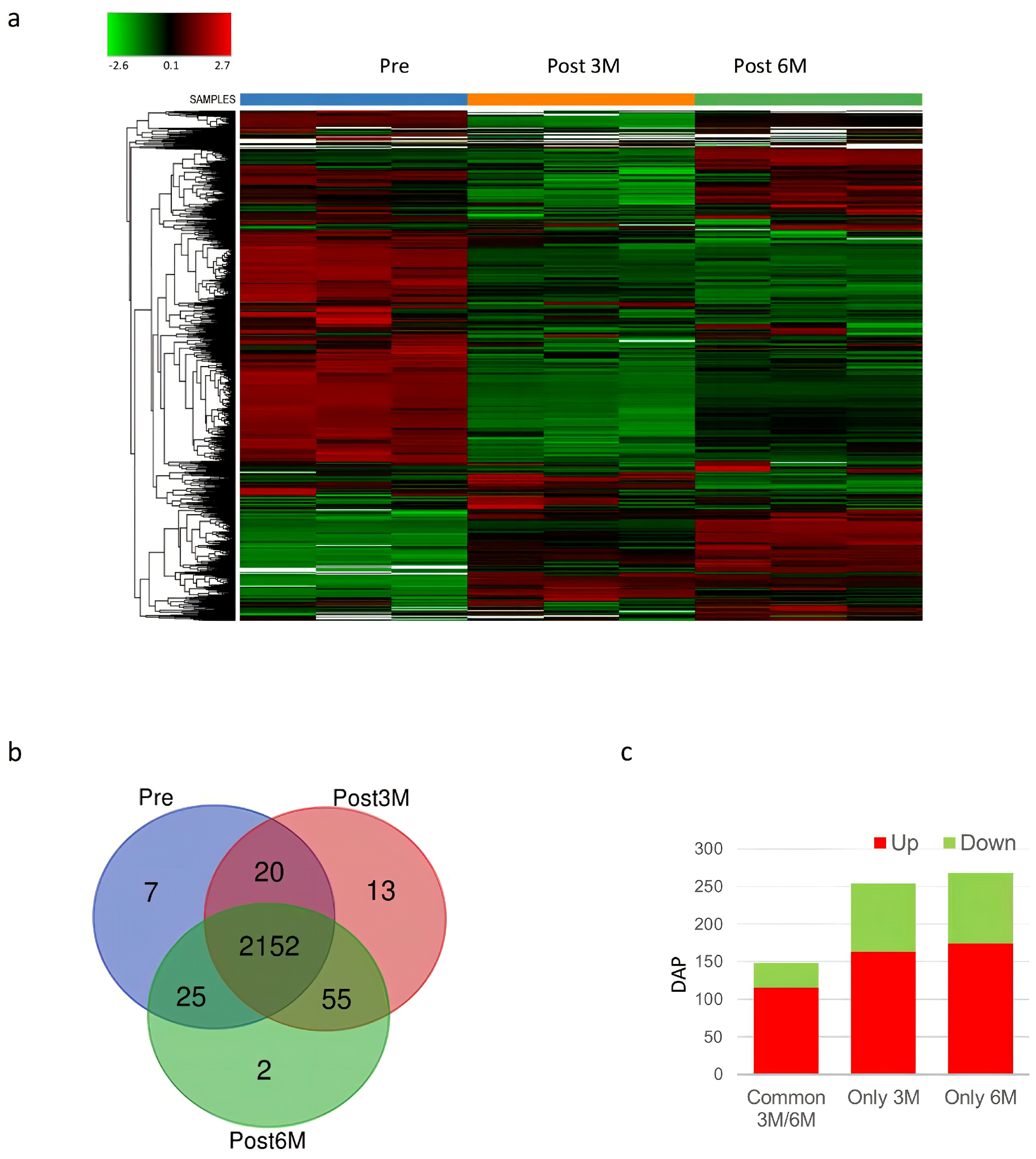 Proteomes 13 00034 g002 Proteomes 13 00034 g002